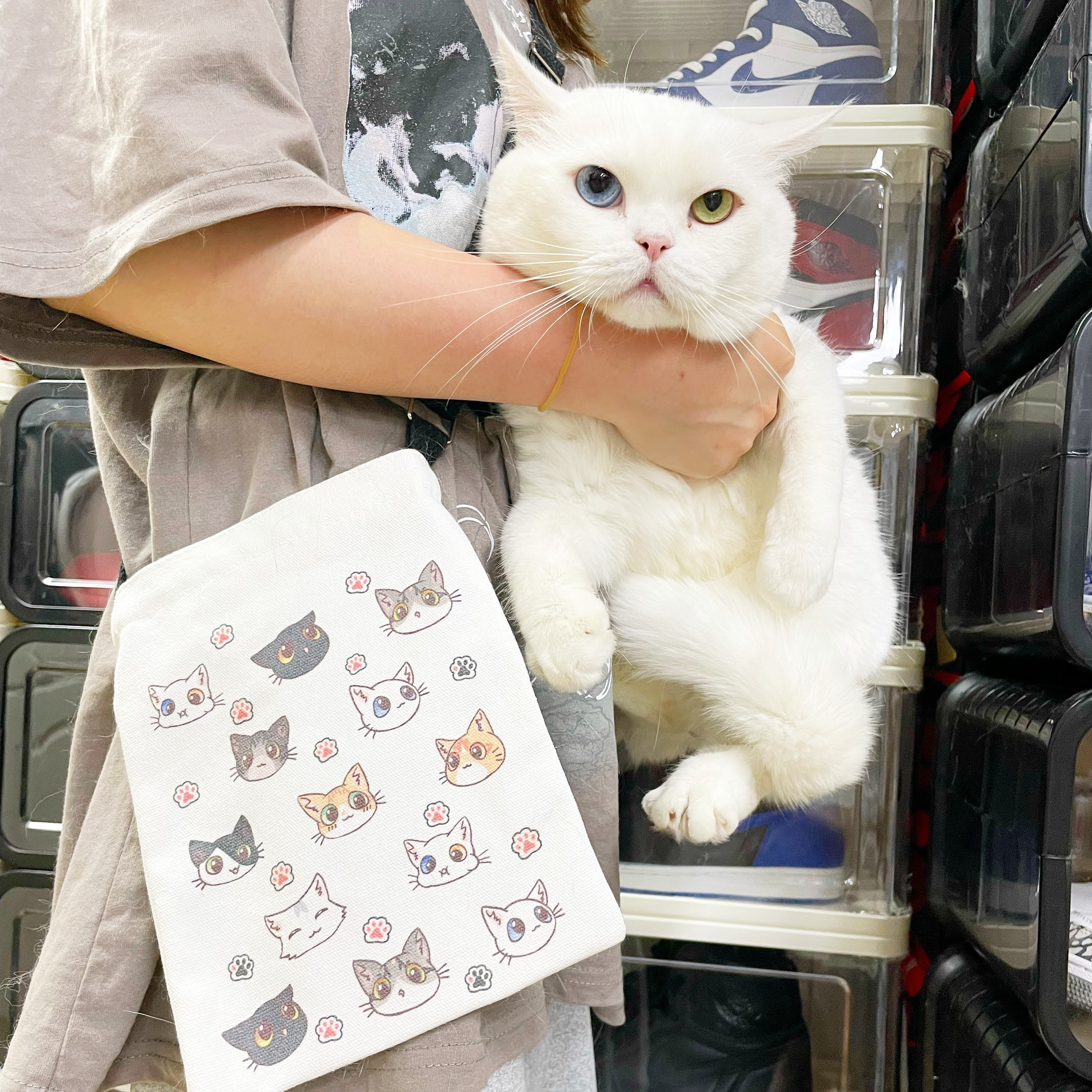 1EDFA321-66A7-43DA-8AD5-437598AF8675