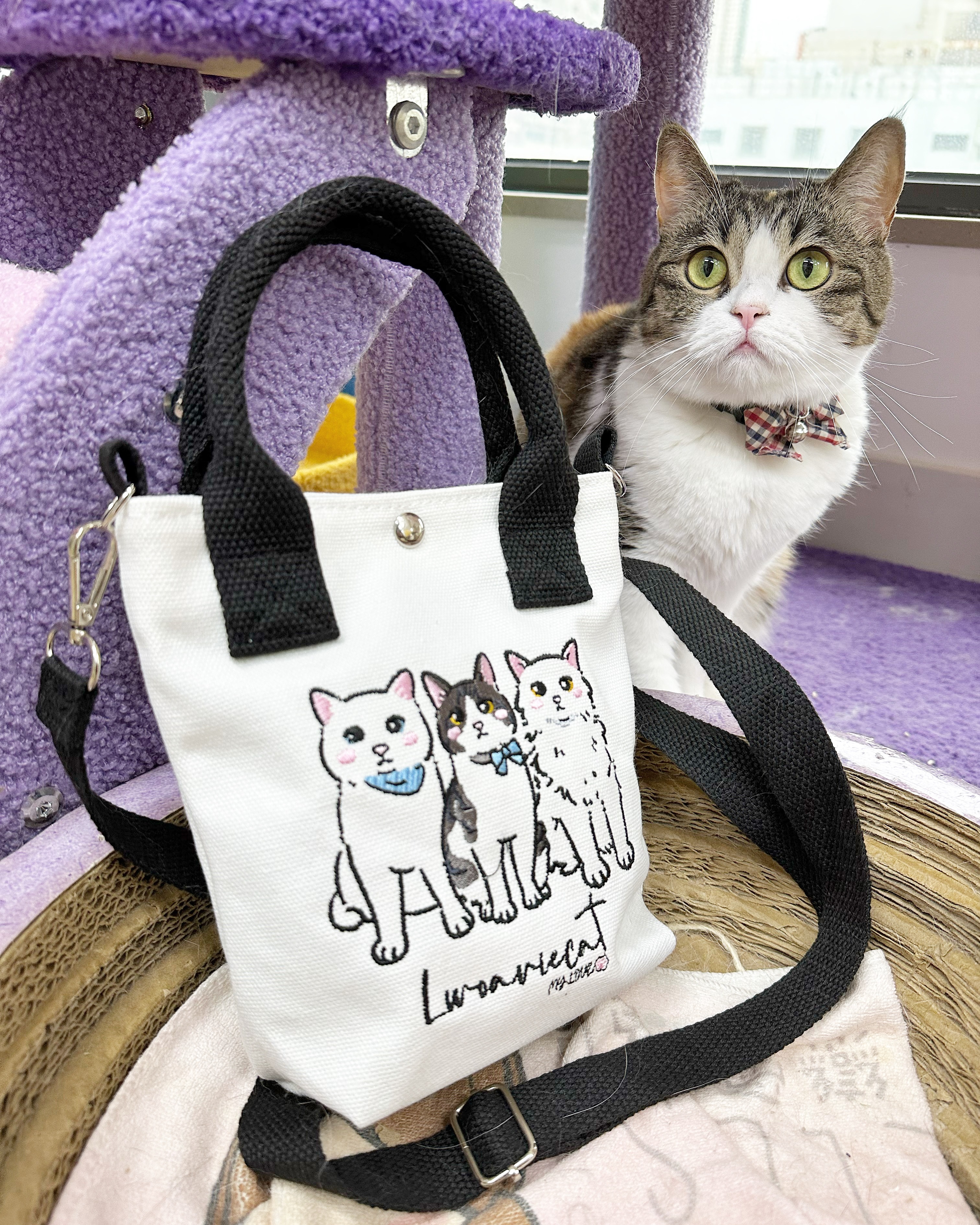 0E3D111B-70F1-4939-B098-F0866AD422A4