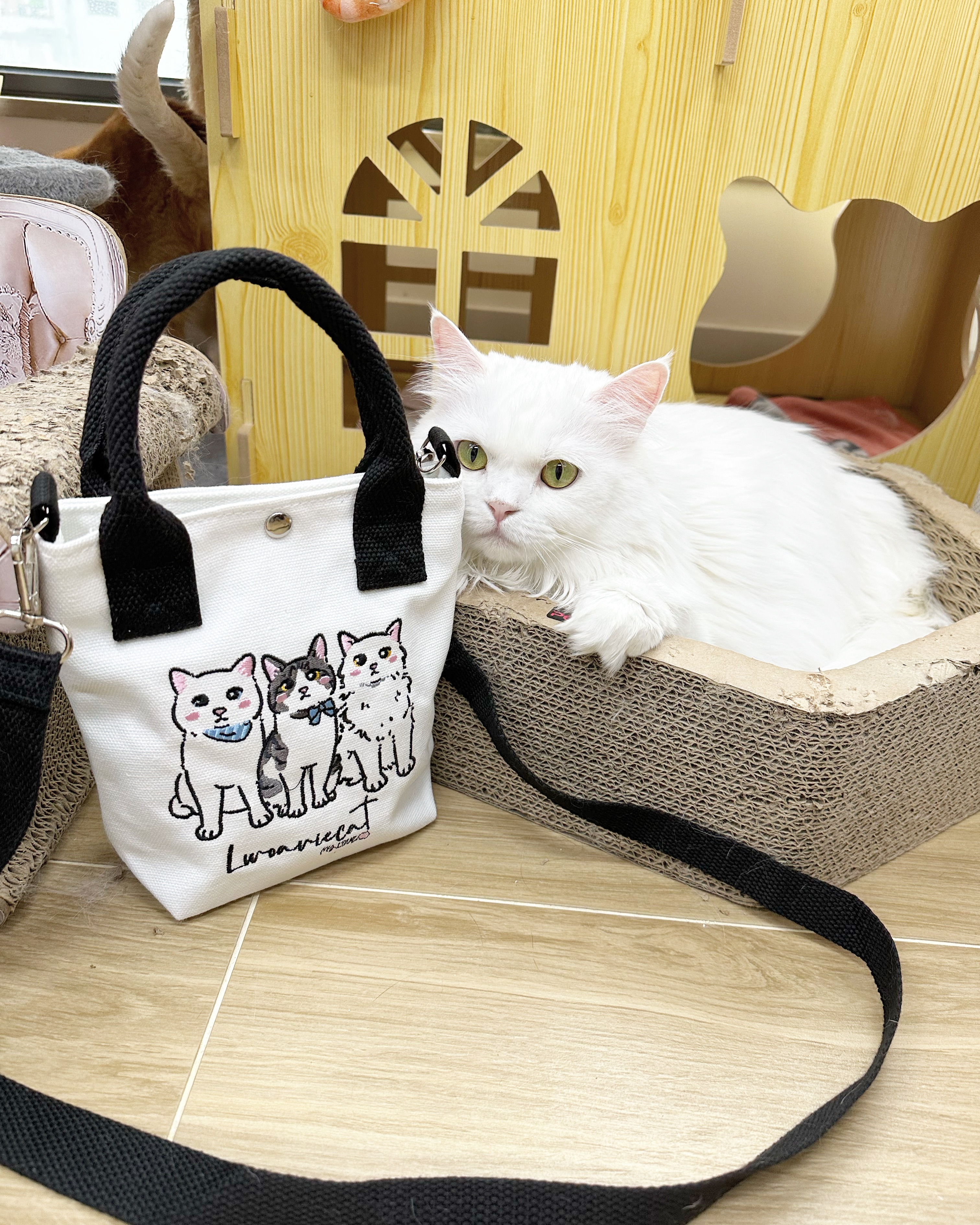 2017BADE-E26B-459D-BC7D-9D983A4DA5A1