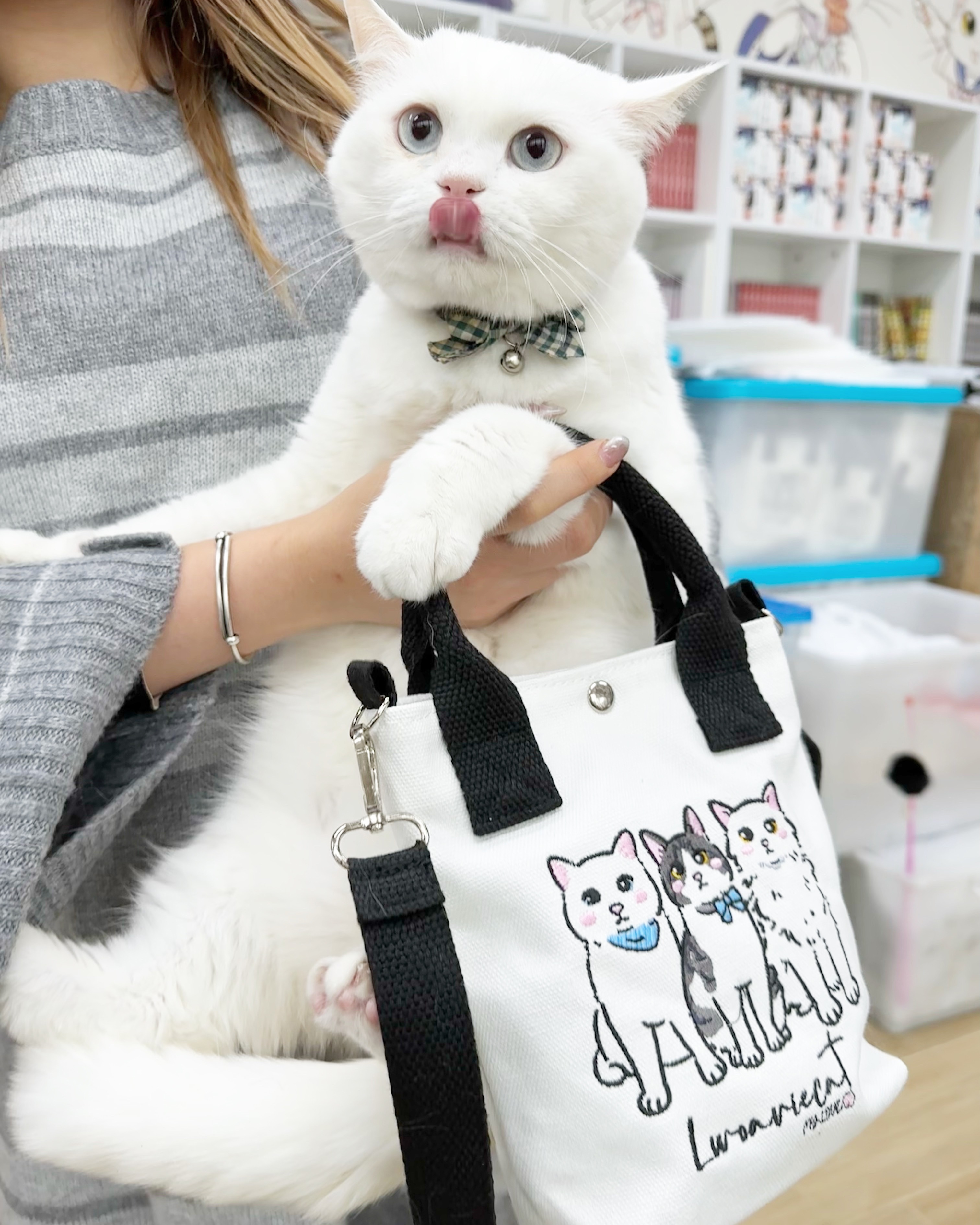 DD6696AE-5E08-4658-8DD9-0C667901EE40