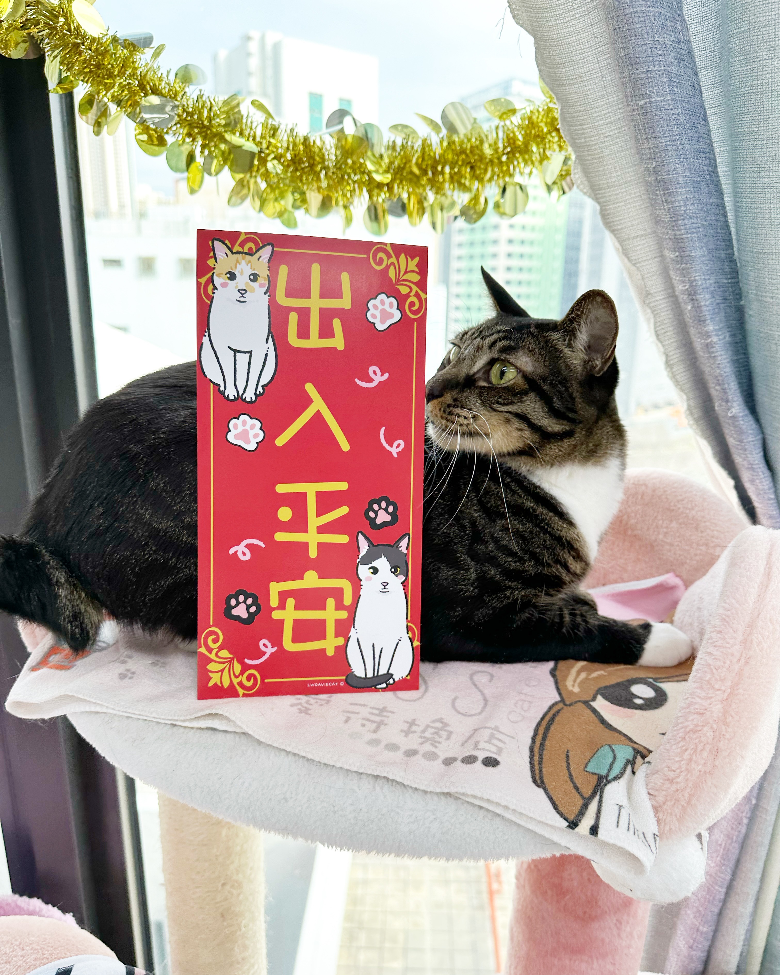 7A31E55F-7782-4FE5-A26C-2F408B3E9FFE