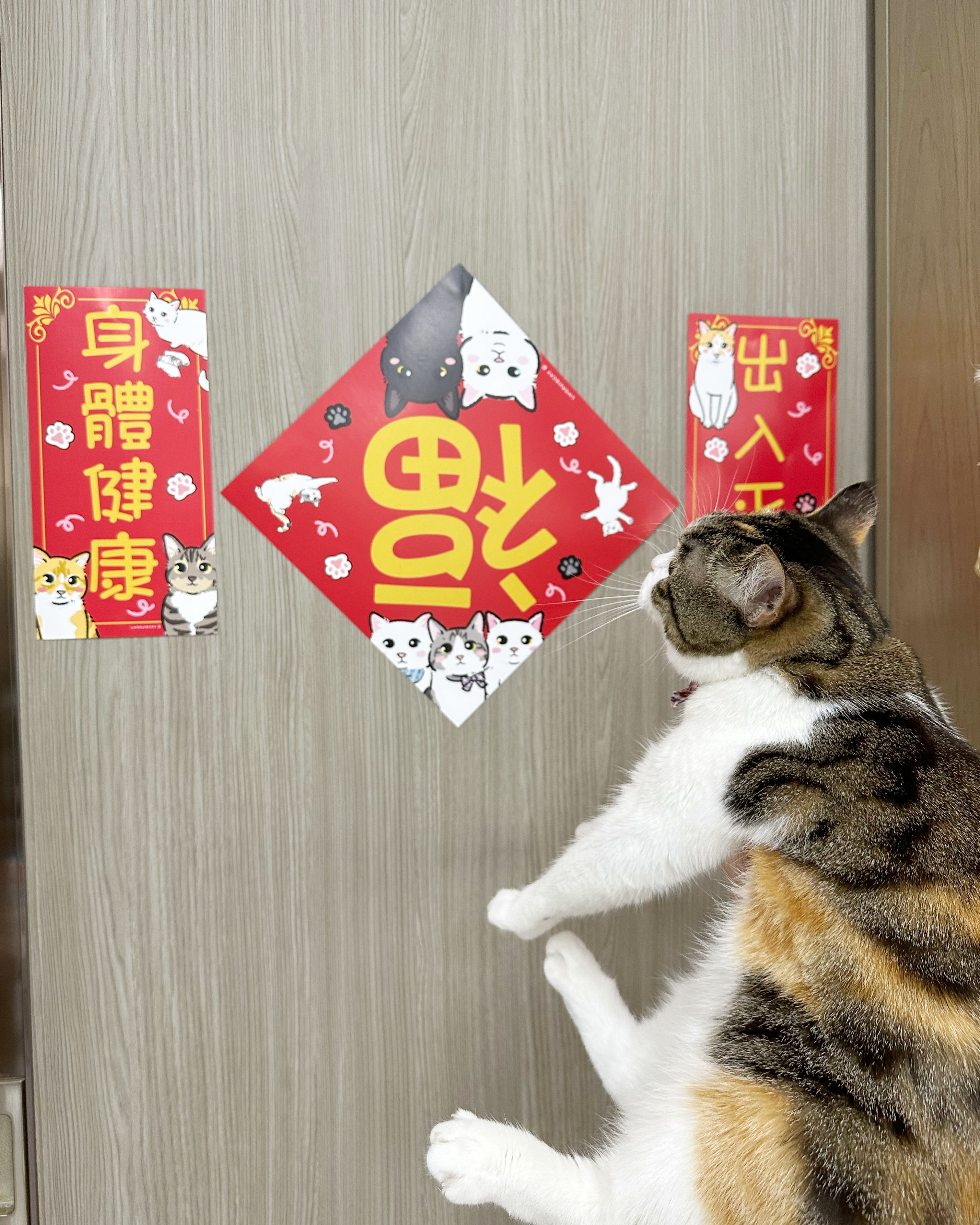 96922807-C450-411E-9053-24EC5EC5C912