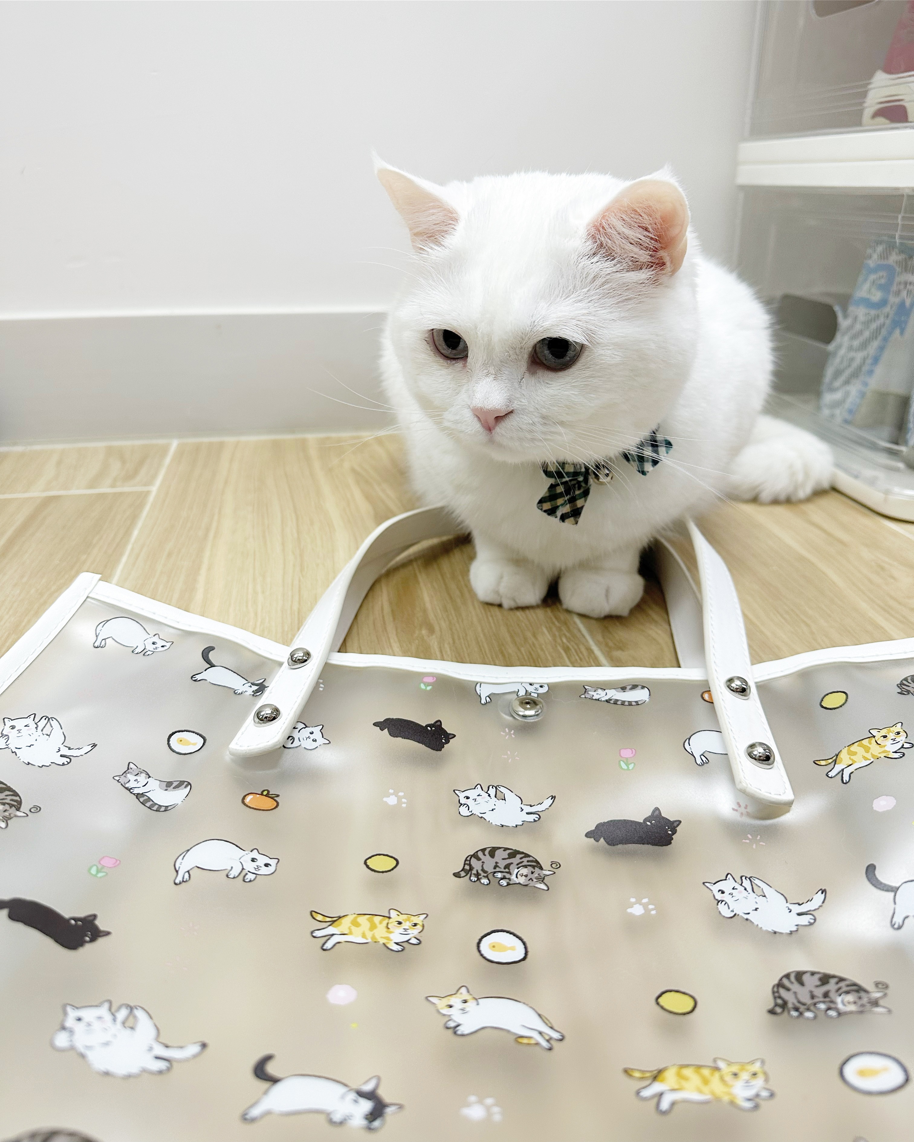 7C7B87D3-0867-4BB8-8216-DCAF11700E97