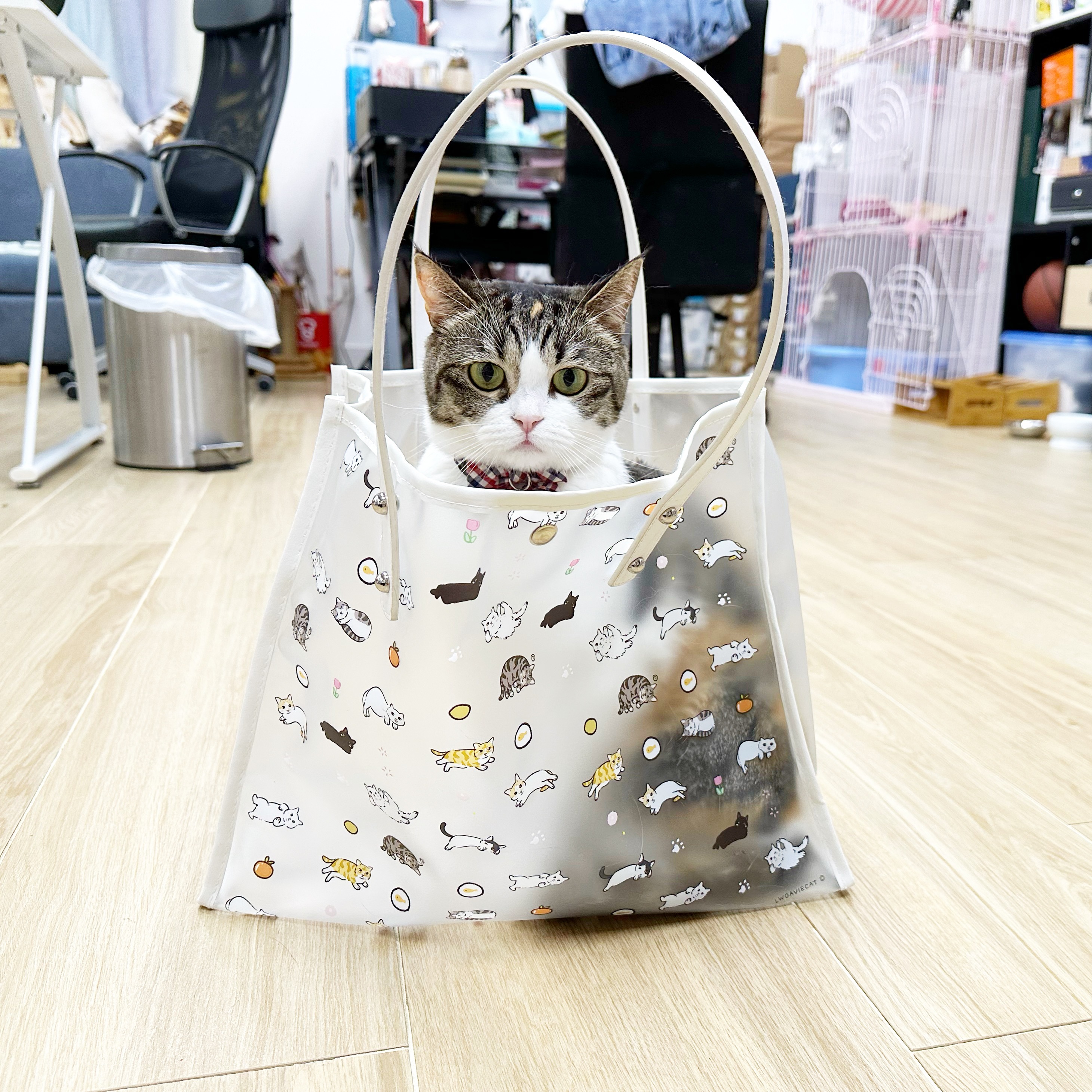 A142F375-6598-4CC9-AD34-E9560B790A24