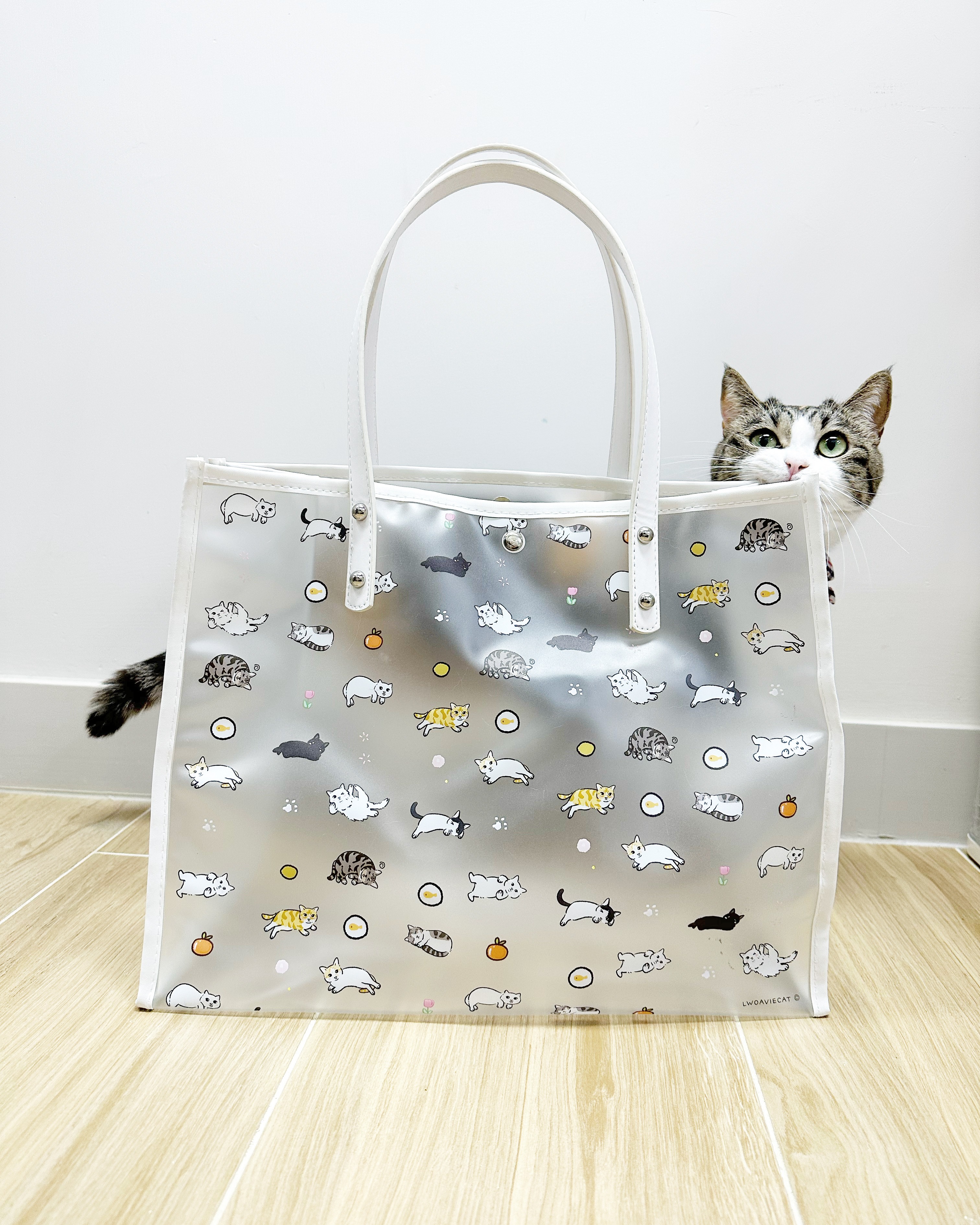 B873179A-9B60-4B40-B35C-1C6CE94CAC47