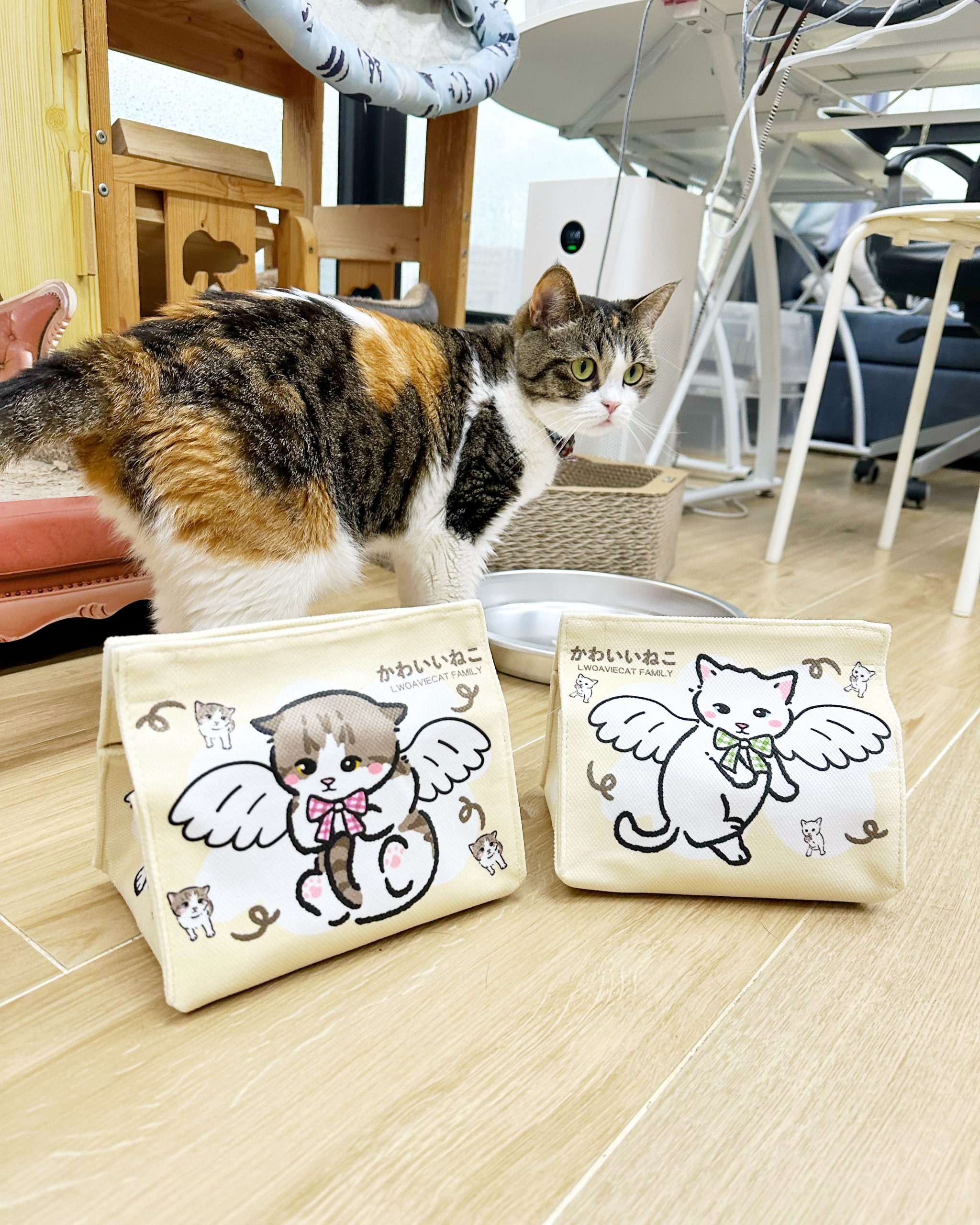 11674FC9-F984-45A6-A32B-F6B9E1DA6370