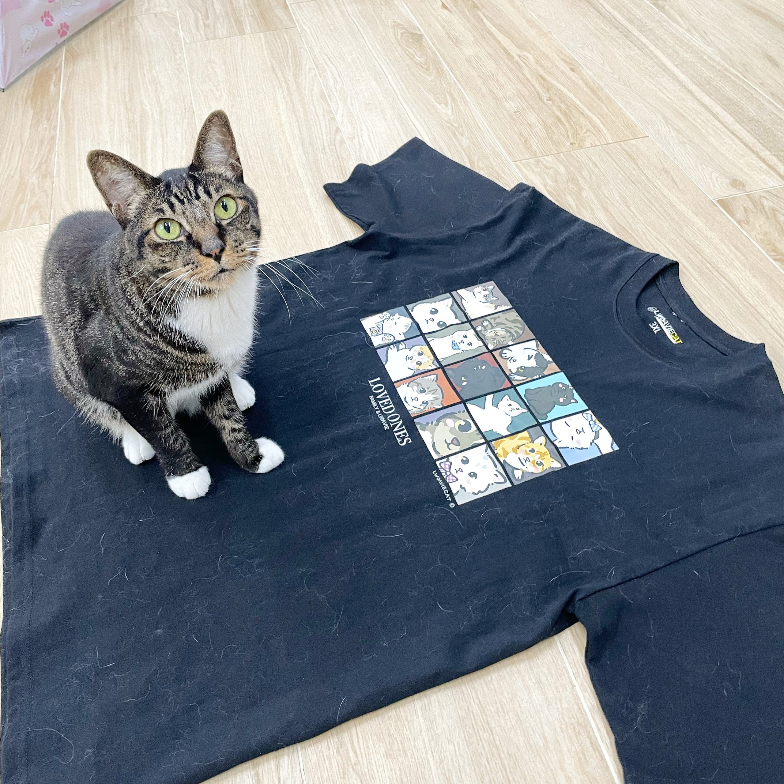 2119A8C6-72BE-480B-82A8-DD7D5EC3446A