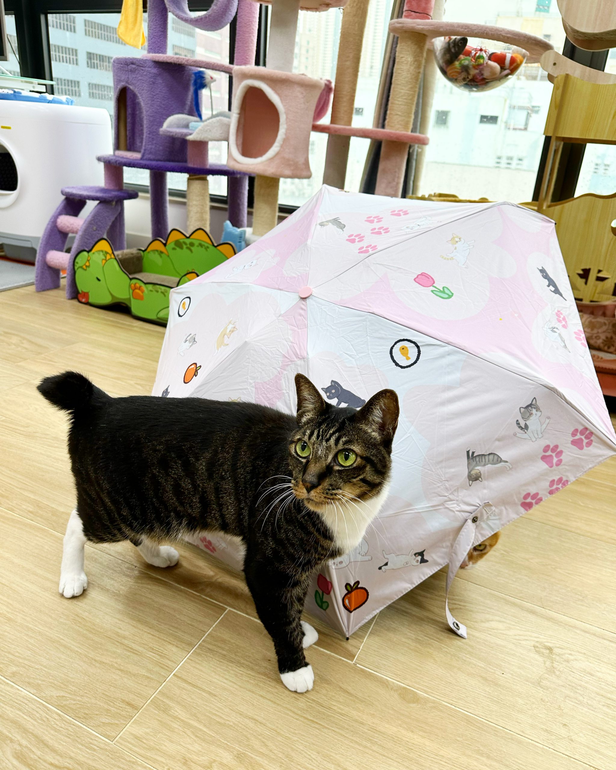 421ECA32-4E03-40F7-BC54-6ED0A53741A2