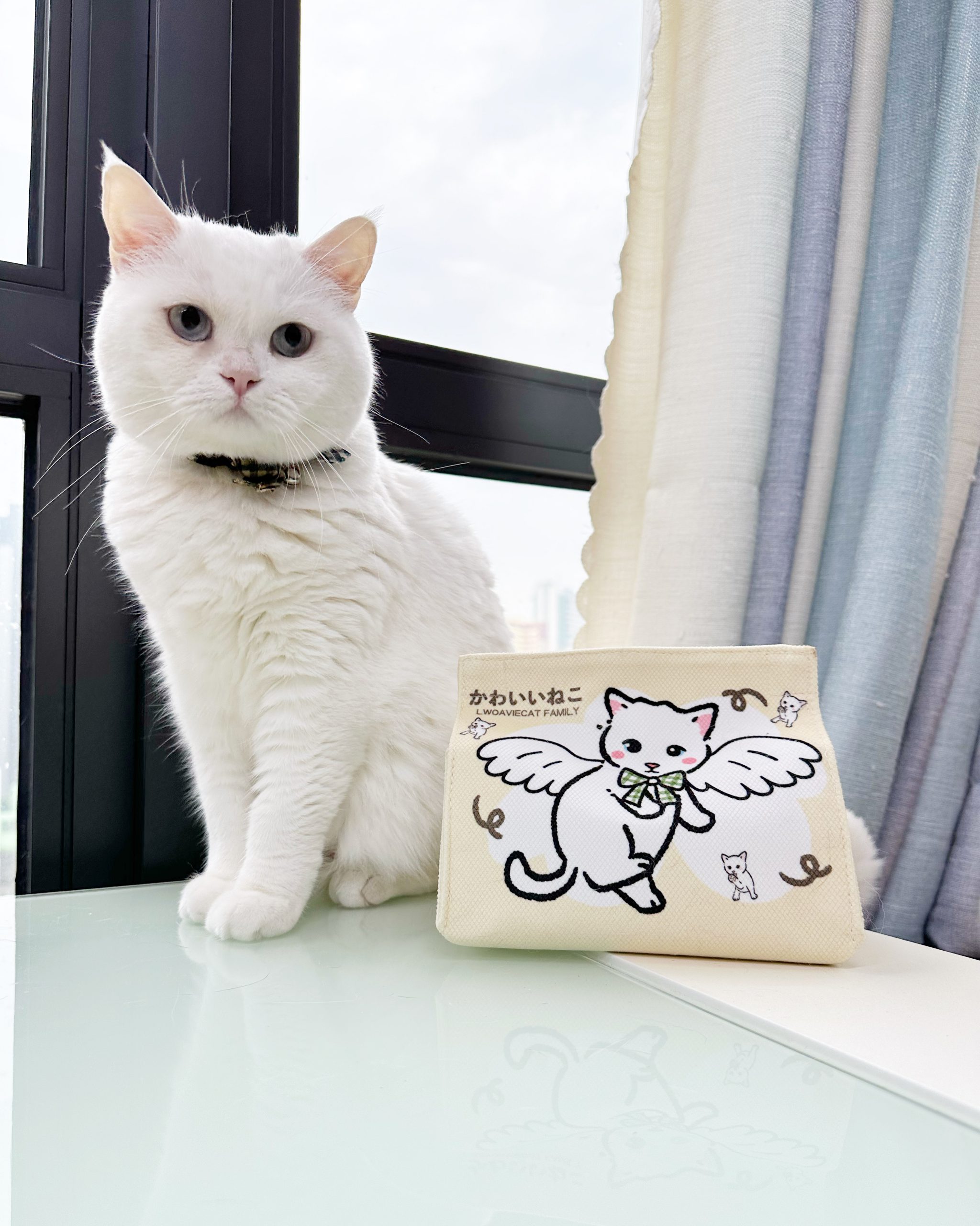 6987BC87-2574-429F-ACA4-BFD67C10651A