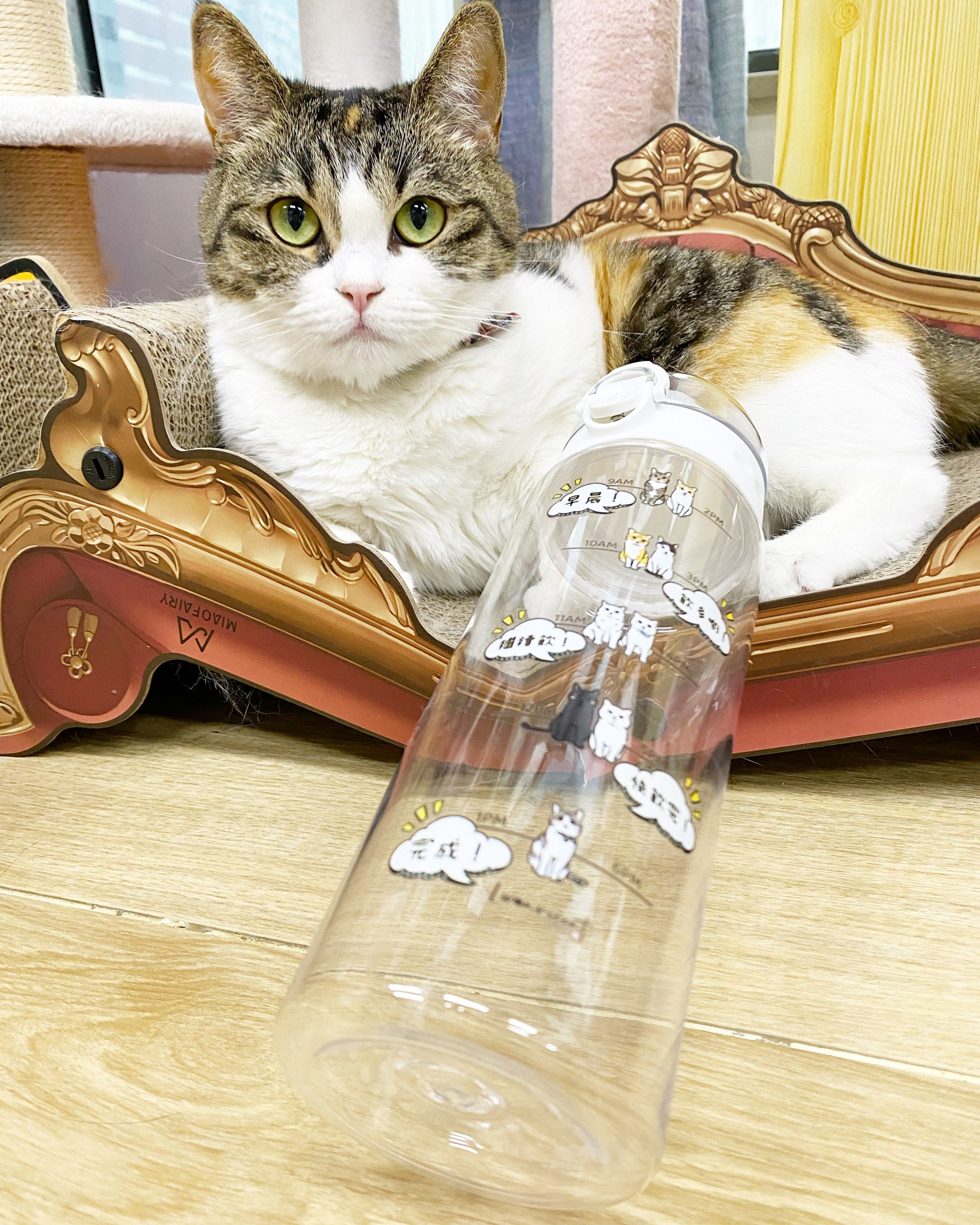 AD40A4BF-BB73-4983-9CB6-17ACB8F9781A