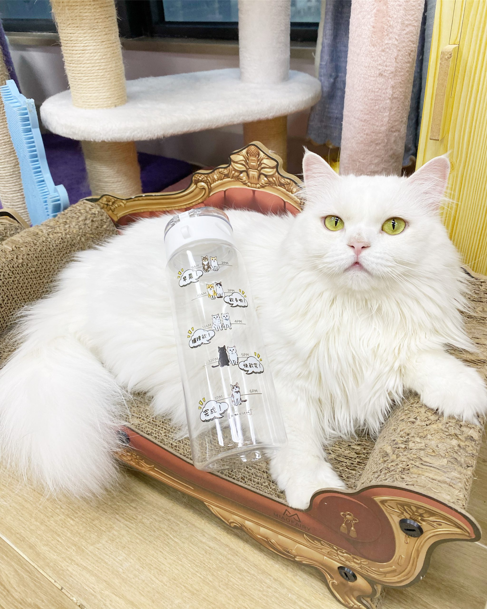 CB42C64A-0AE2-4E05-8BDD-3CEBFB2A1311 2