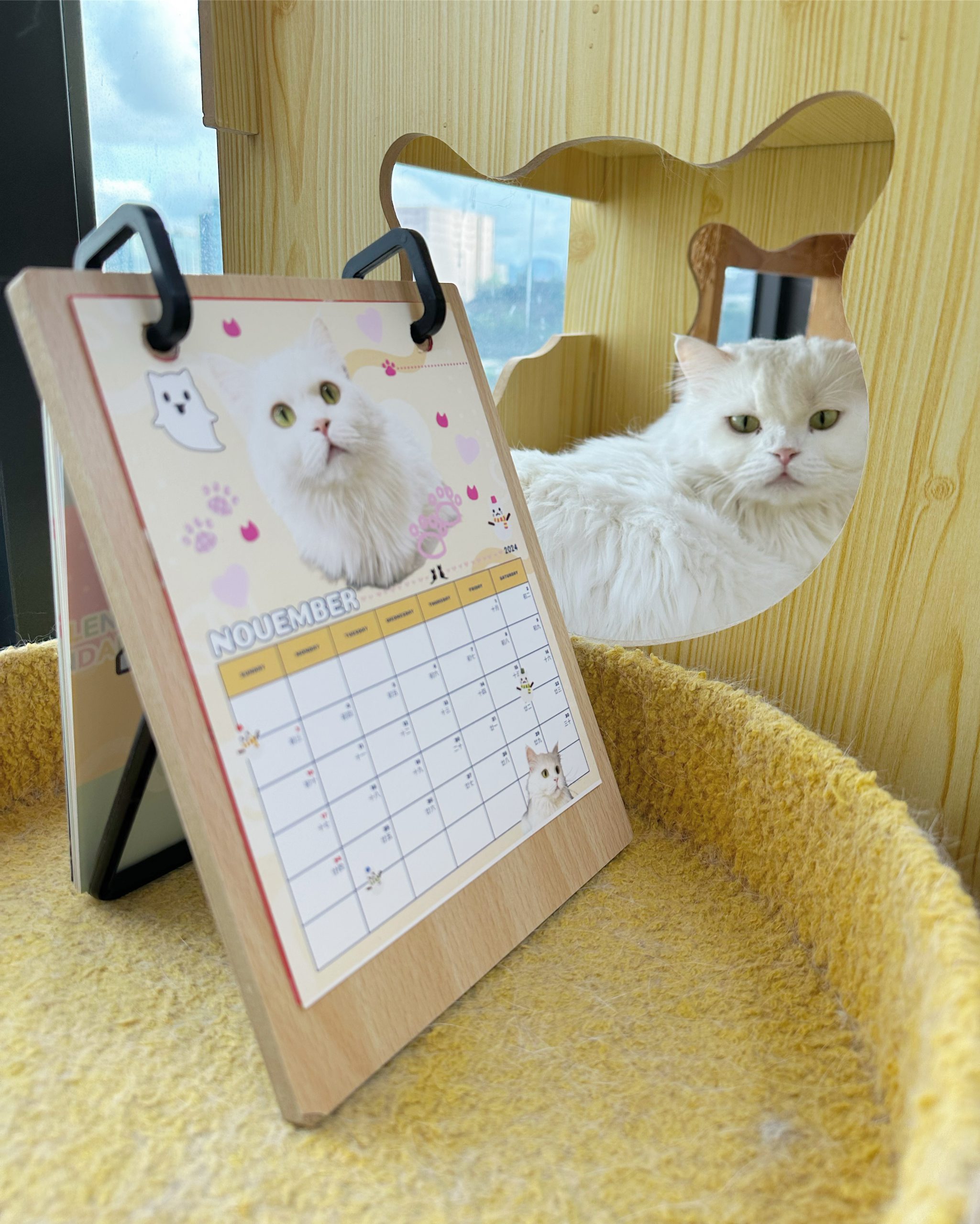 007590A2-A6DB-49A2-9864-CD38D9879F61