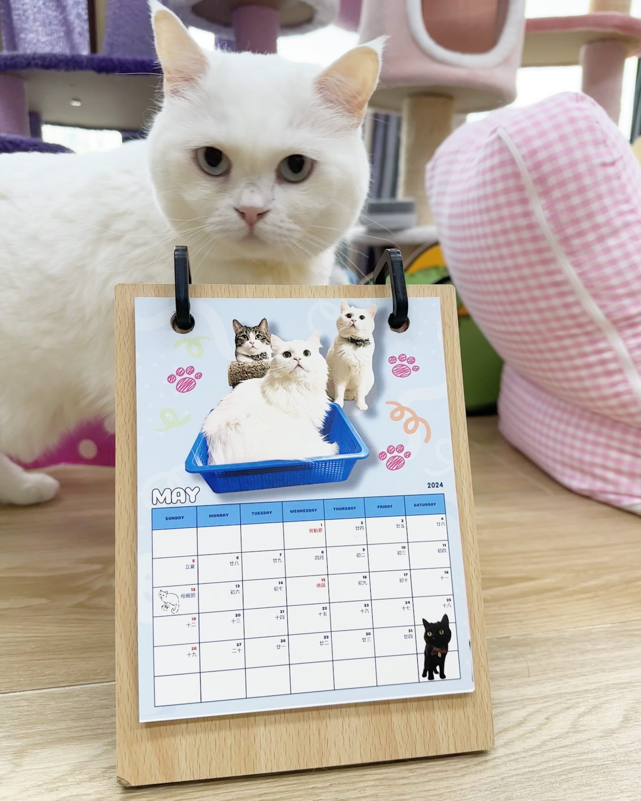 0FCDD2BE-CCE0-47CE-AEF2-D48AD33707A9