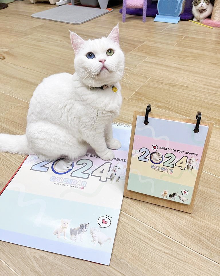 4E39E6FA-7128-49D8-A3A8-06DB2CA3B181