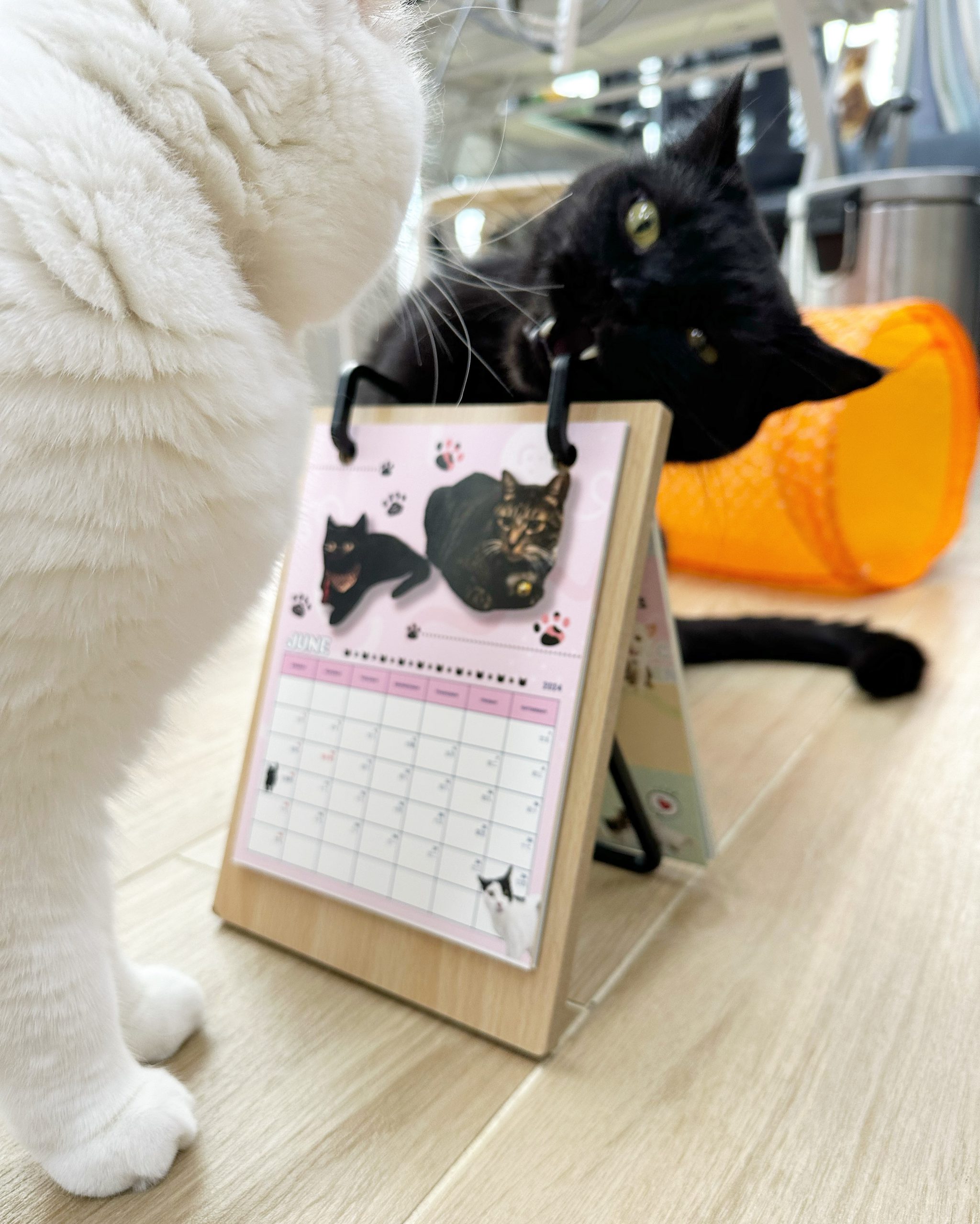 EF9B4E11-8C97-4889-96C6-AC89669CF905