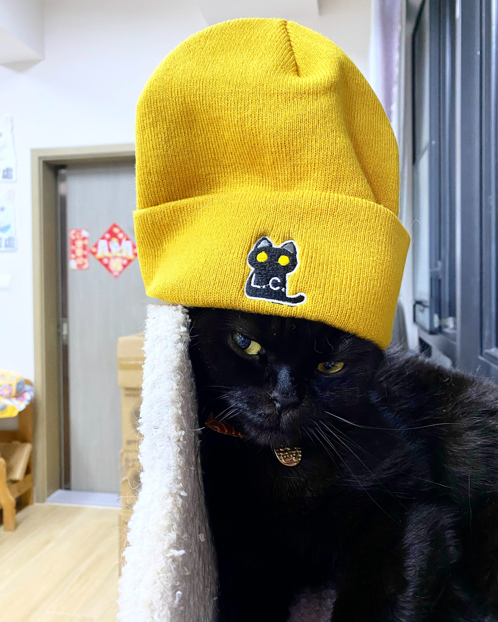 04977442-2300-4886-B7F4-4B4DF7BB5D24 2