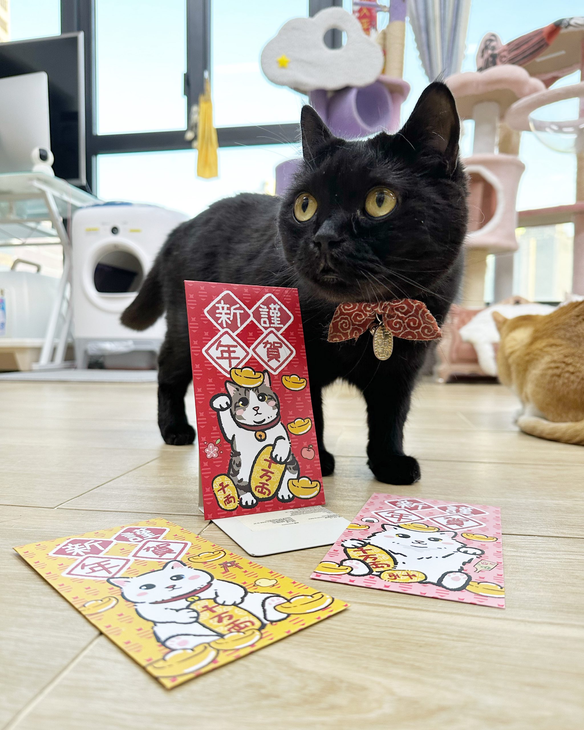 35DEBA6E-E5F7-44C6-B70E-D3B8B02B0451