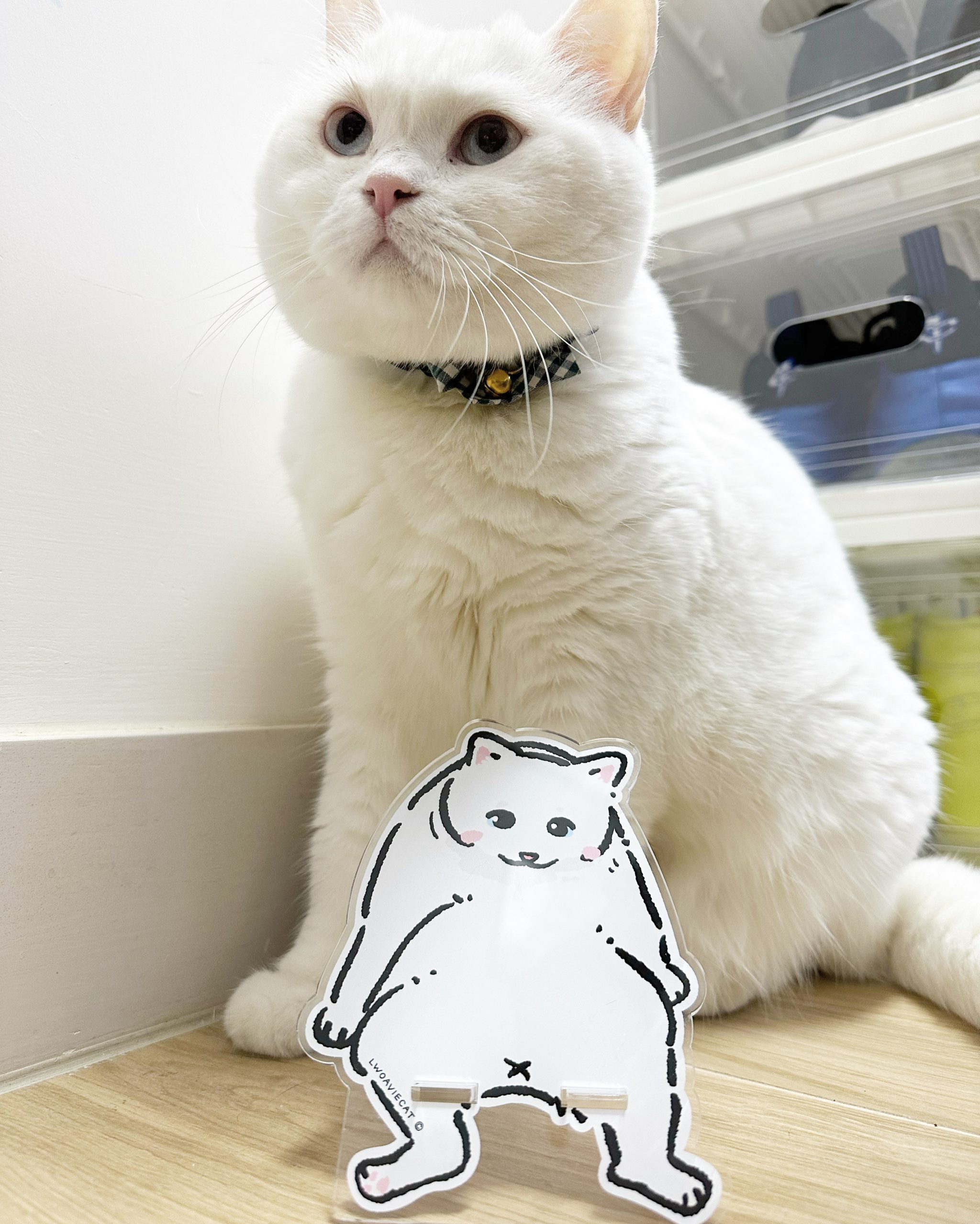 5351BD7F-E295-47D1-B8C4-26503AD78730