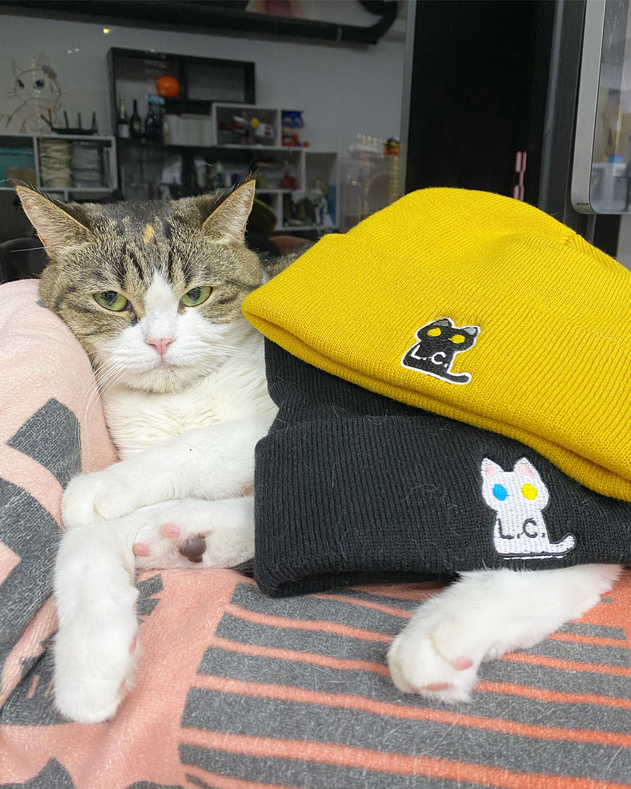 54584A0C-21E4-48E9-B42C-FE08A83710EA