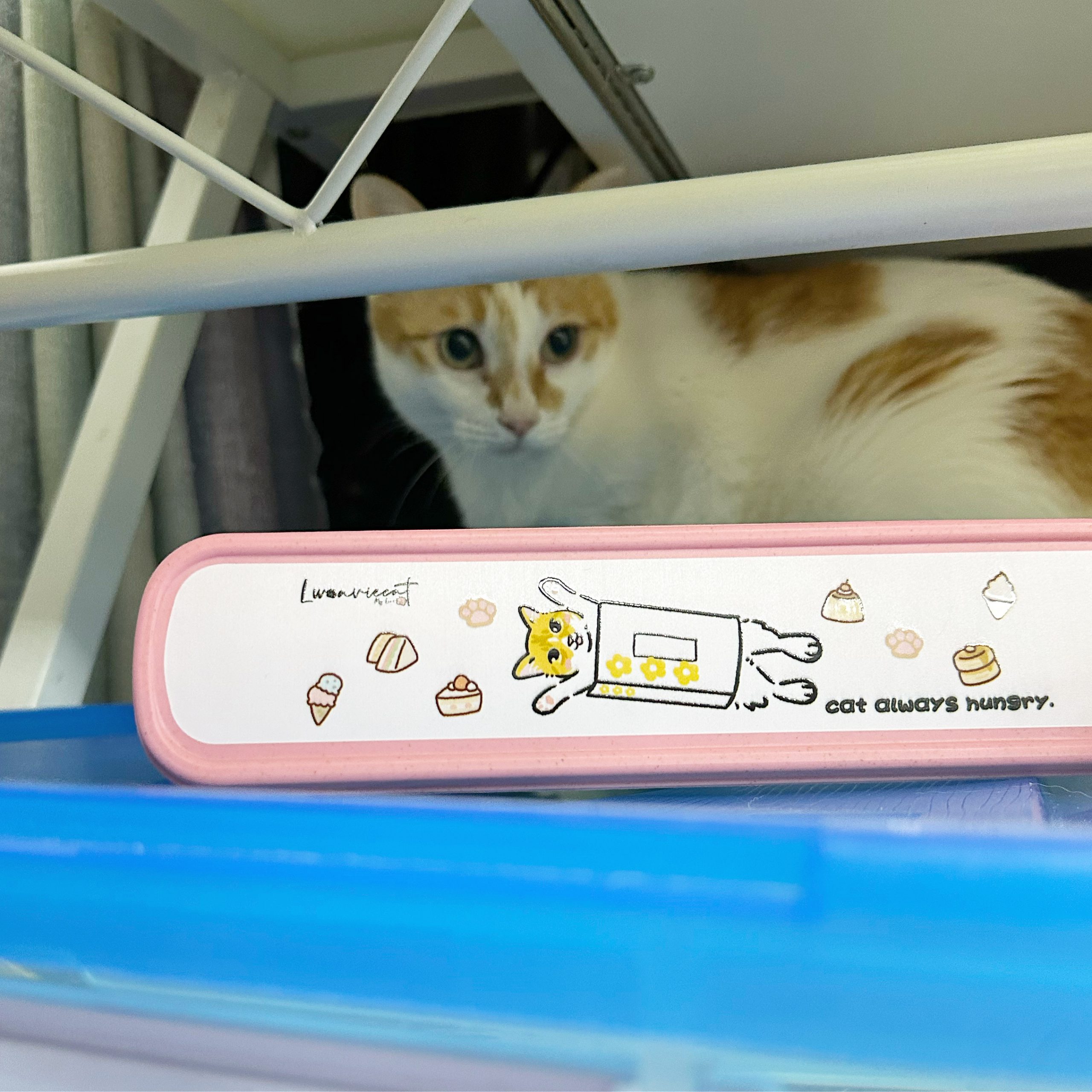 5AC0EFCE-9A50-45A6-9686-A8D5D7A1C292