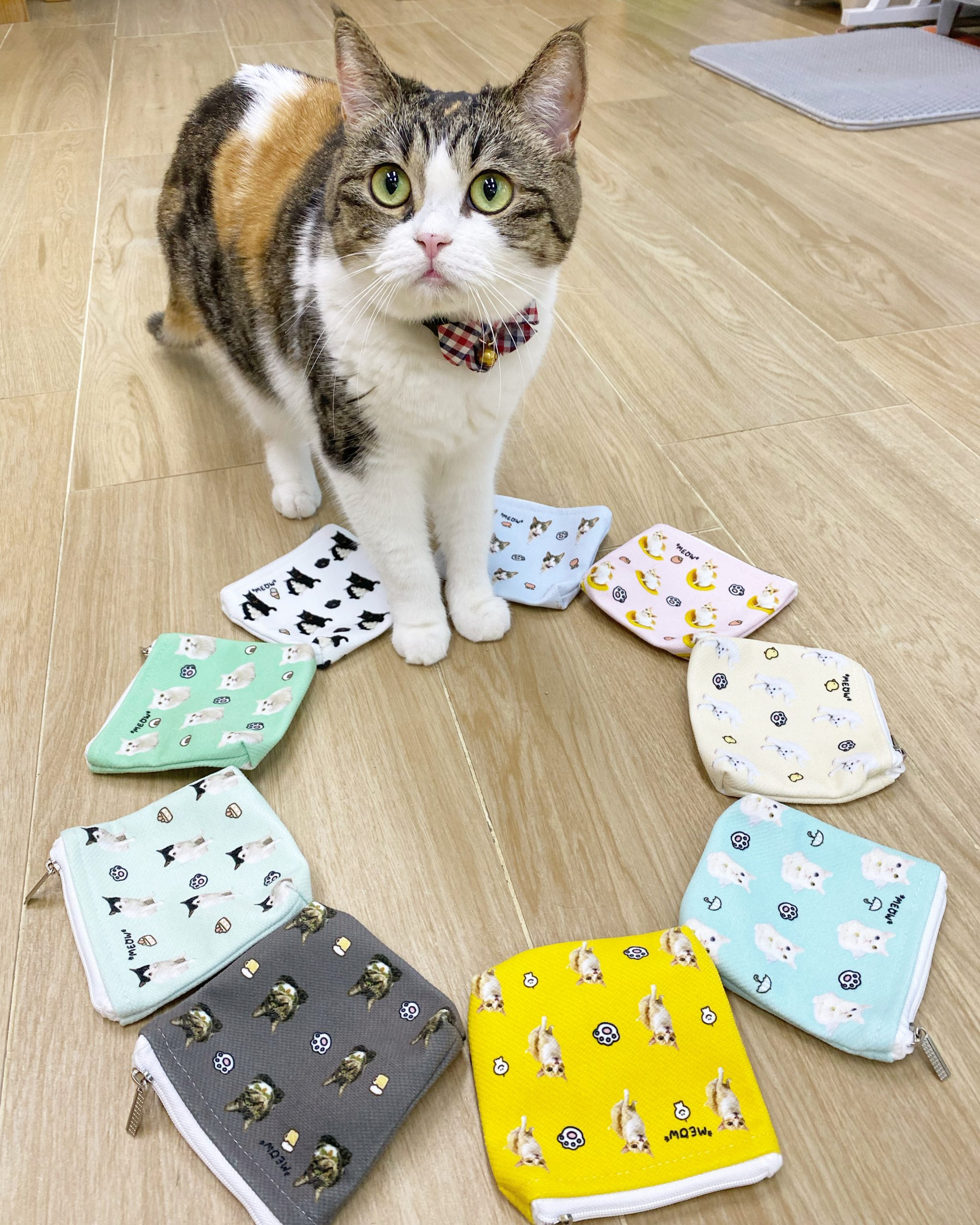 628D4852-82AF-4660-8414-C5FA7B181831