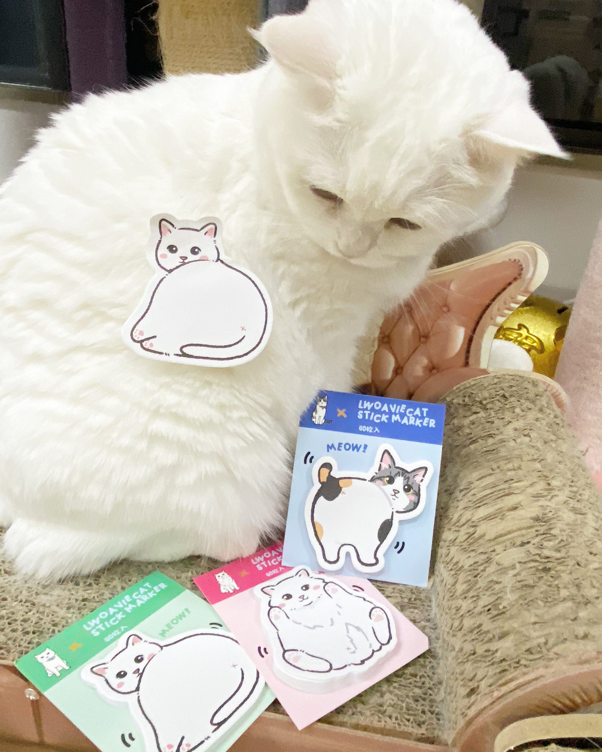 67739877-0A61-4891-9440-6A92226C1948