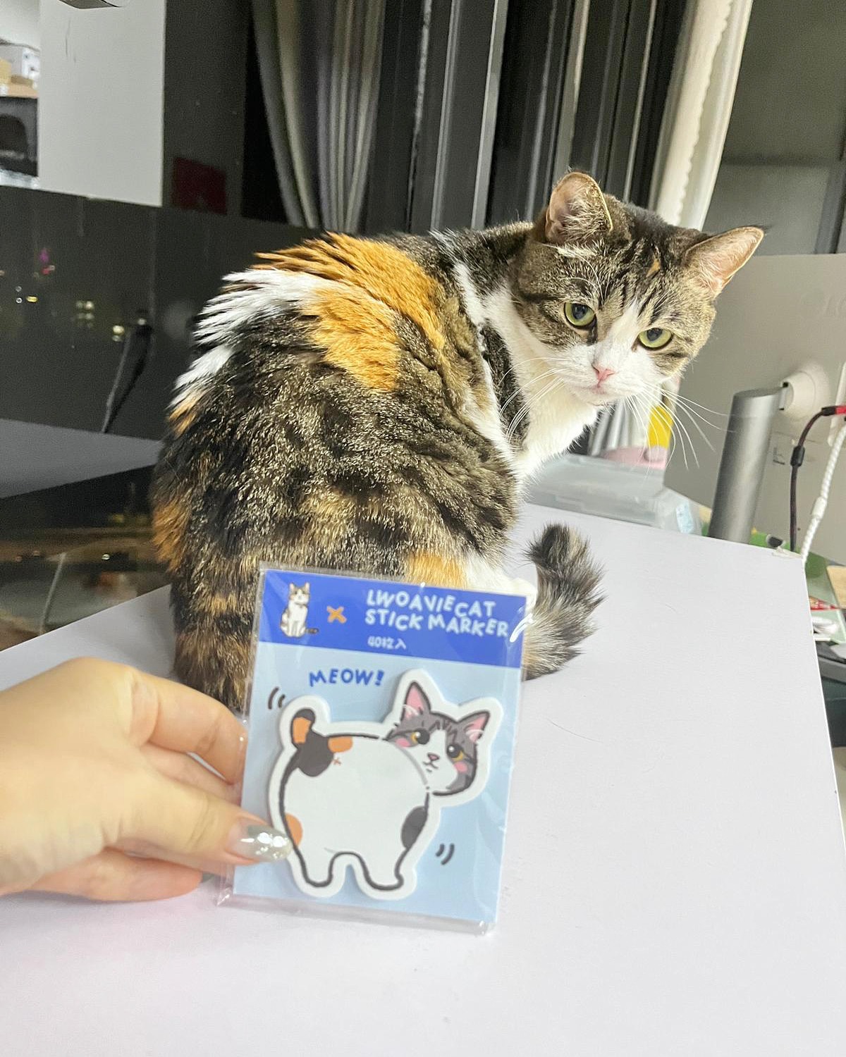 7FD11367-06F7-4E92-B2CC-30C7652A9C9B