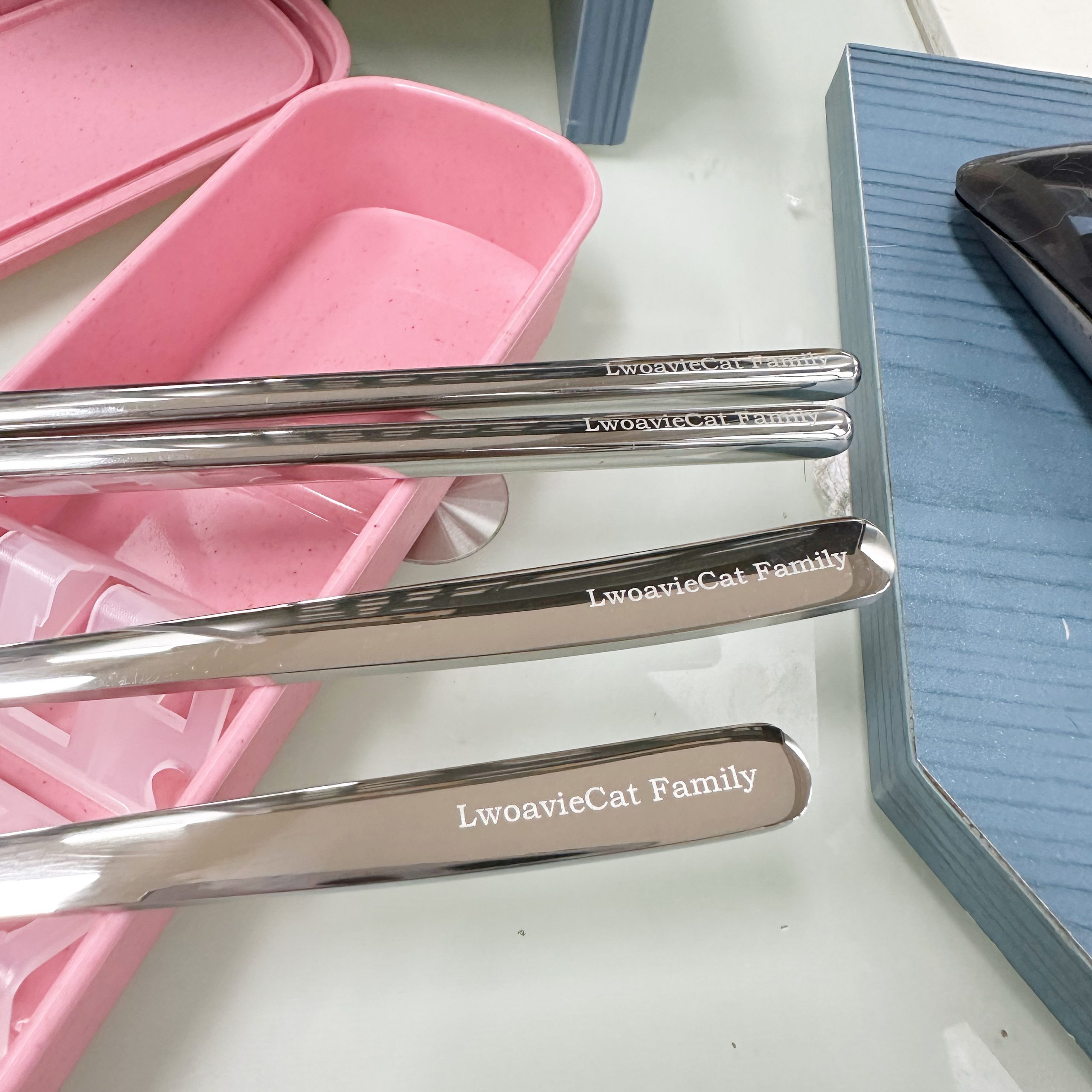 803FC011-BFF8-4A0C-8F30-8DCFA4018F24