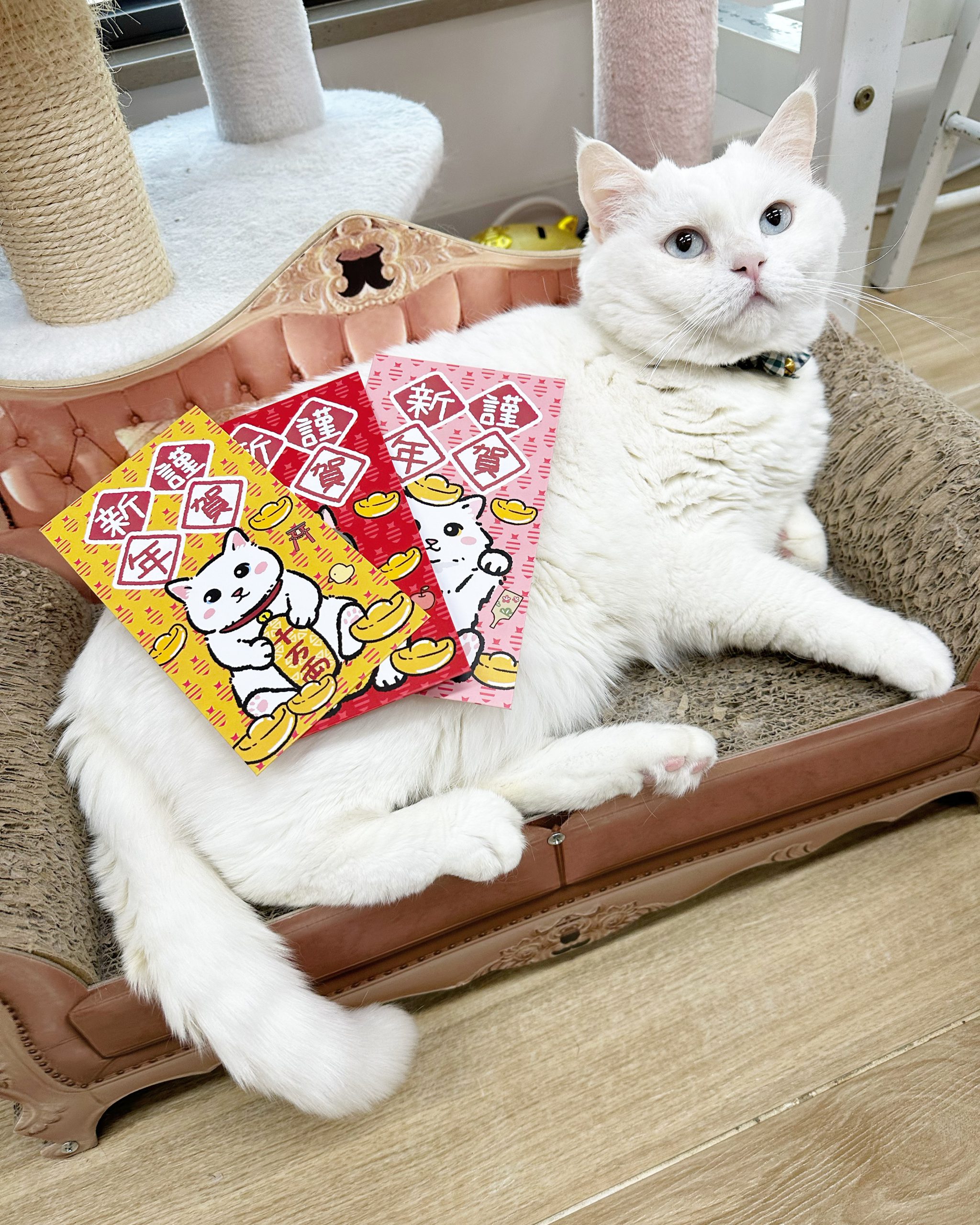 8458B4A4-740A-4A0D-B274-2D3ECFFD8137