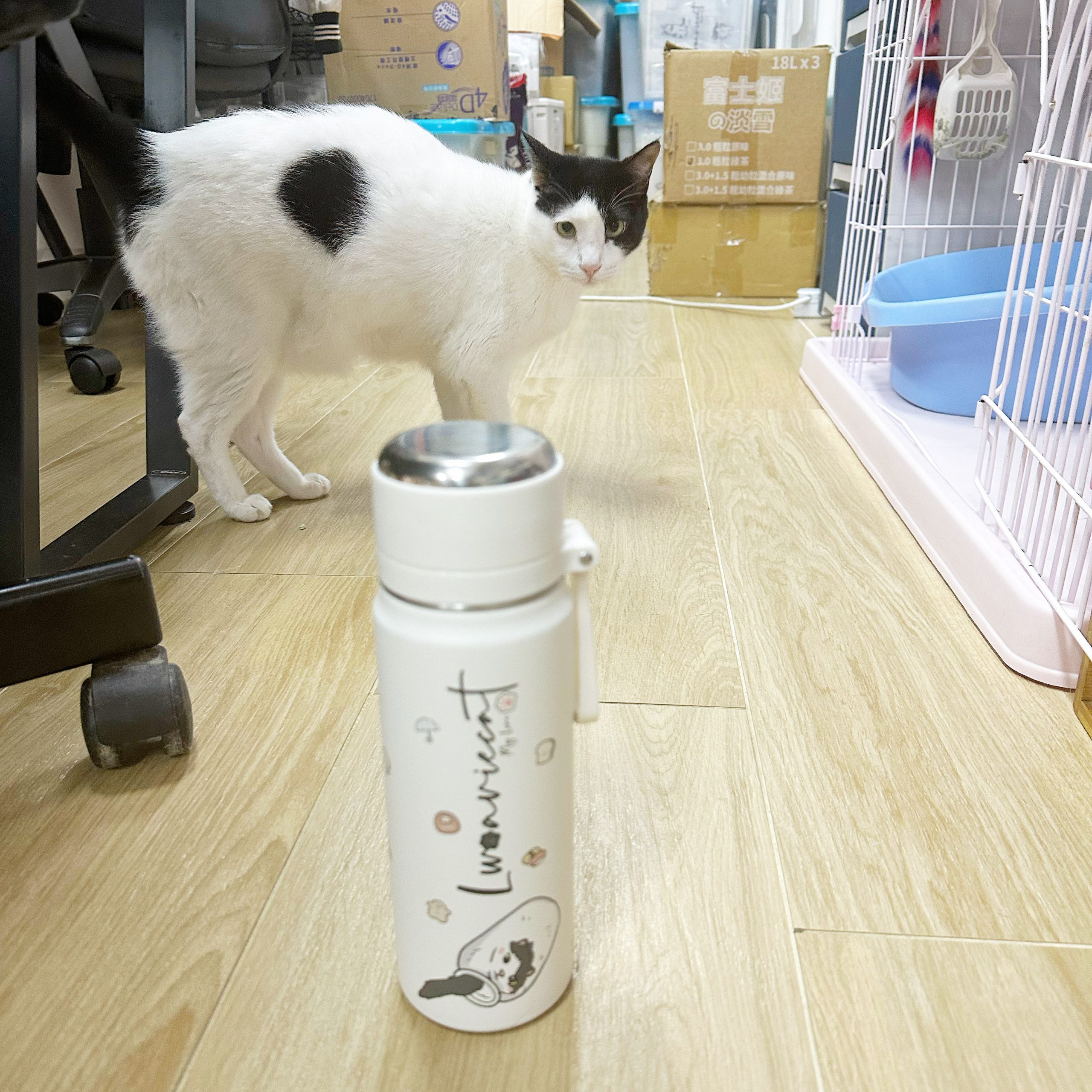 A85CE79F-6AF6-47CC-AD83-043A33F5054B