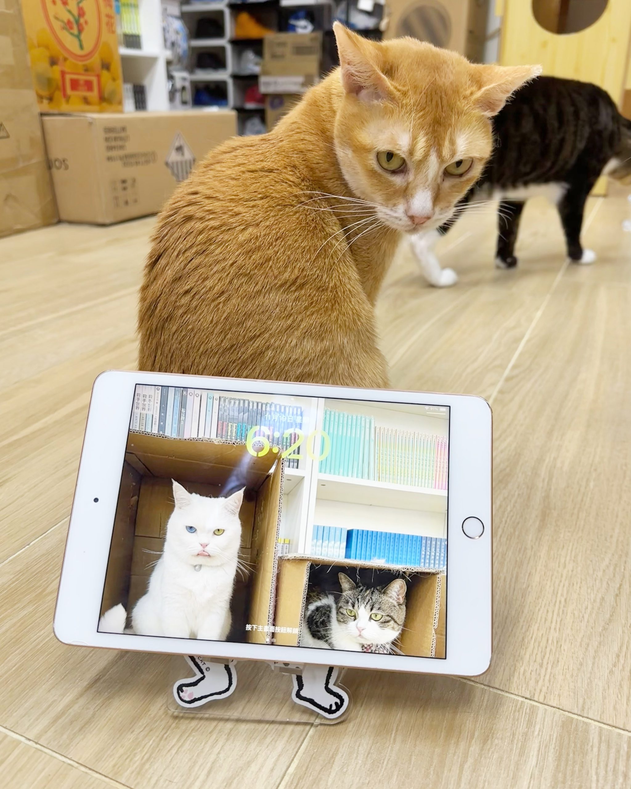 CC0C4F1E-BEB5-4E87-94D0-A92187BF85E2