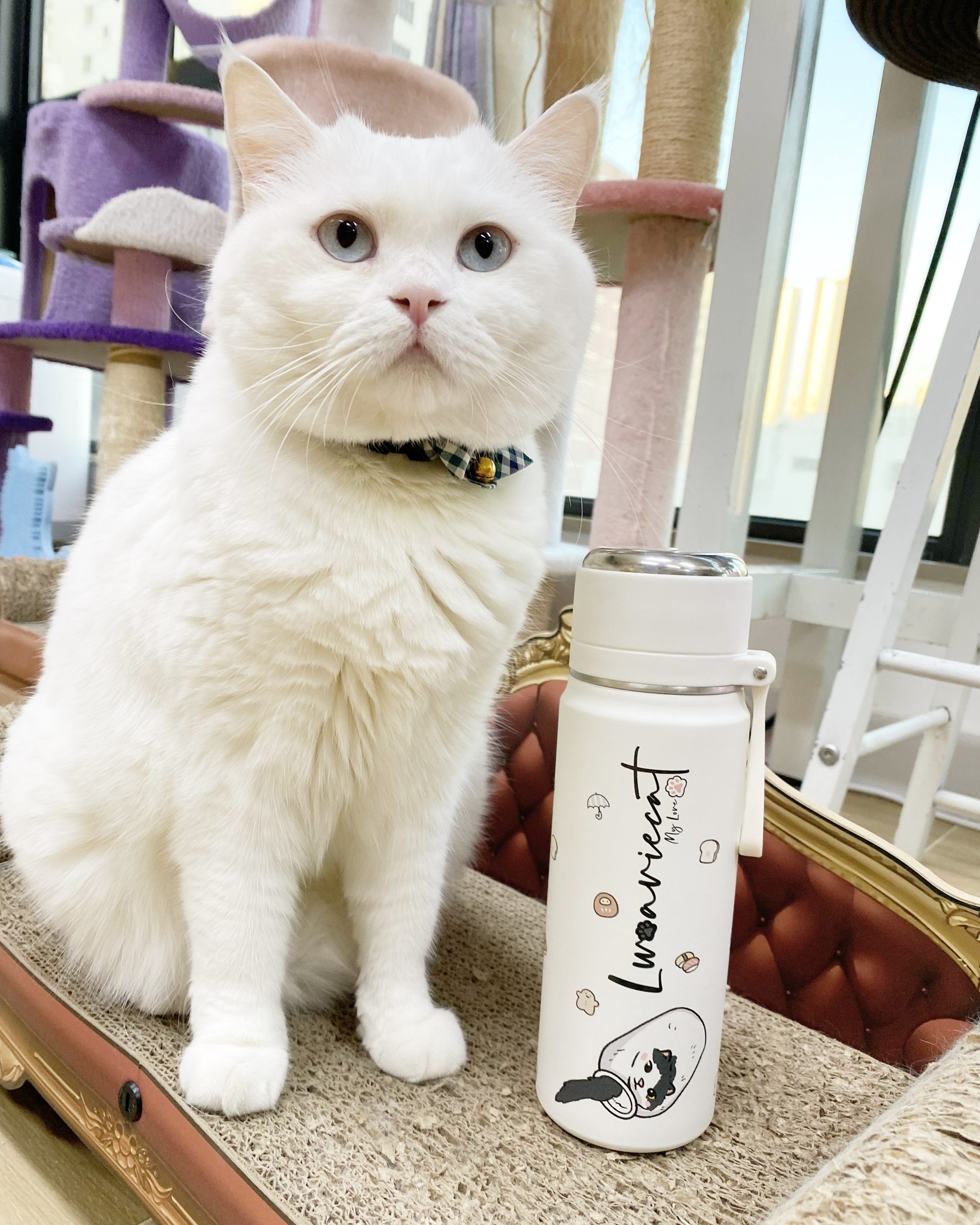 D0A4DAD4-1382-474B-8CF9-D9D7675E03B0