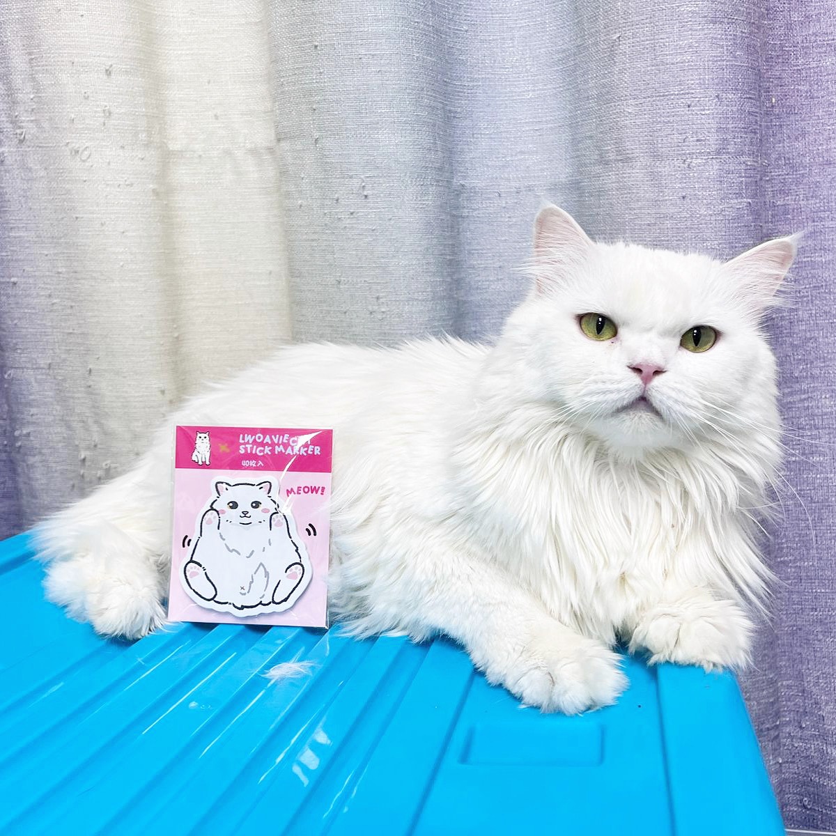 DDEF2C5A-3E56-4DF7-8304-336F7A5ECE0A