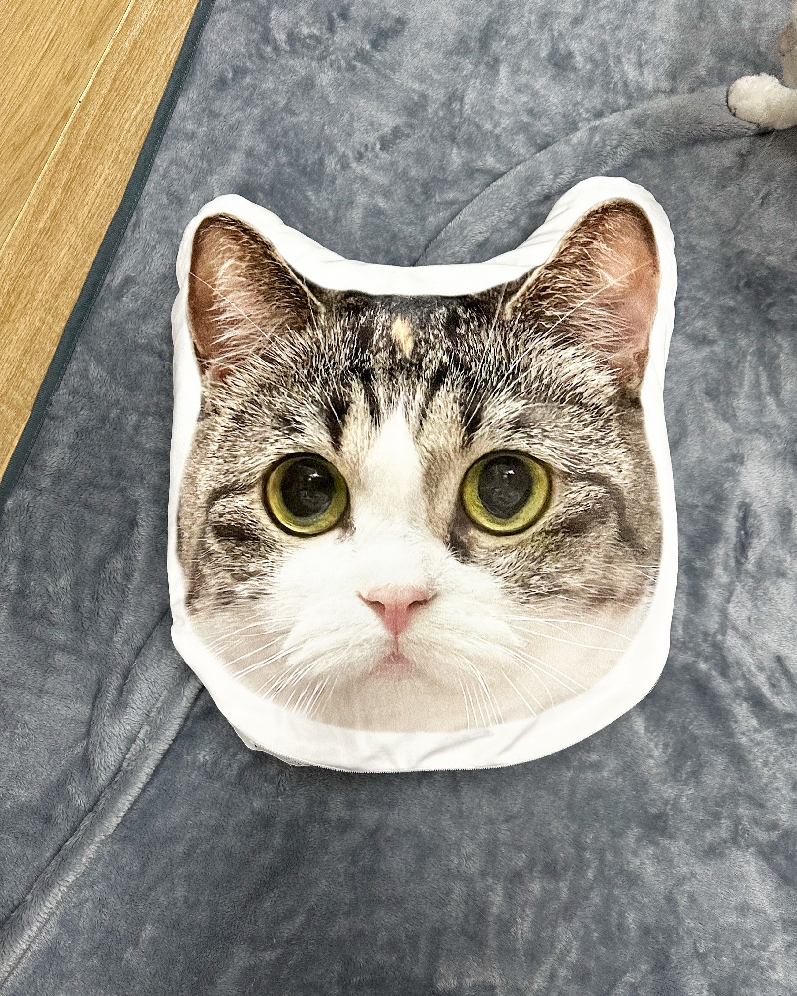 100A0AAF-8569-4FB8-9024-D9E7935FFEE9