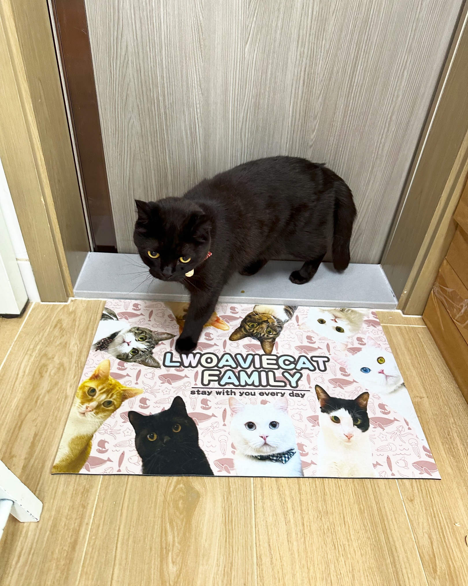 496525EA-B06C-4D3D-B519-723CBCB158D1