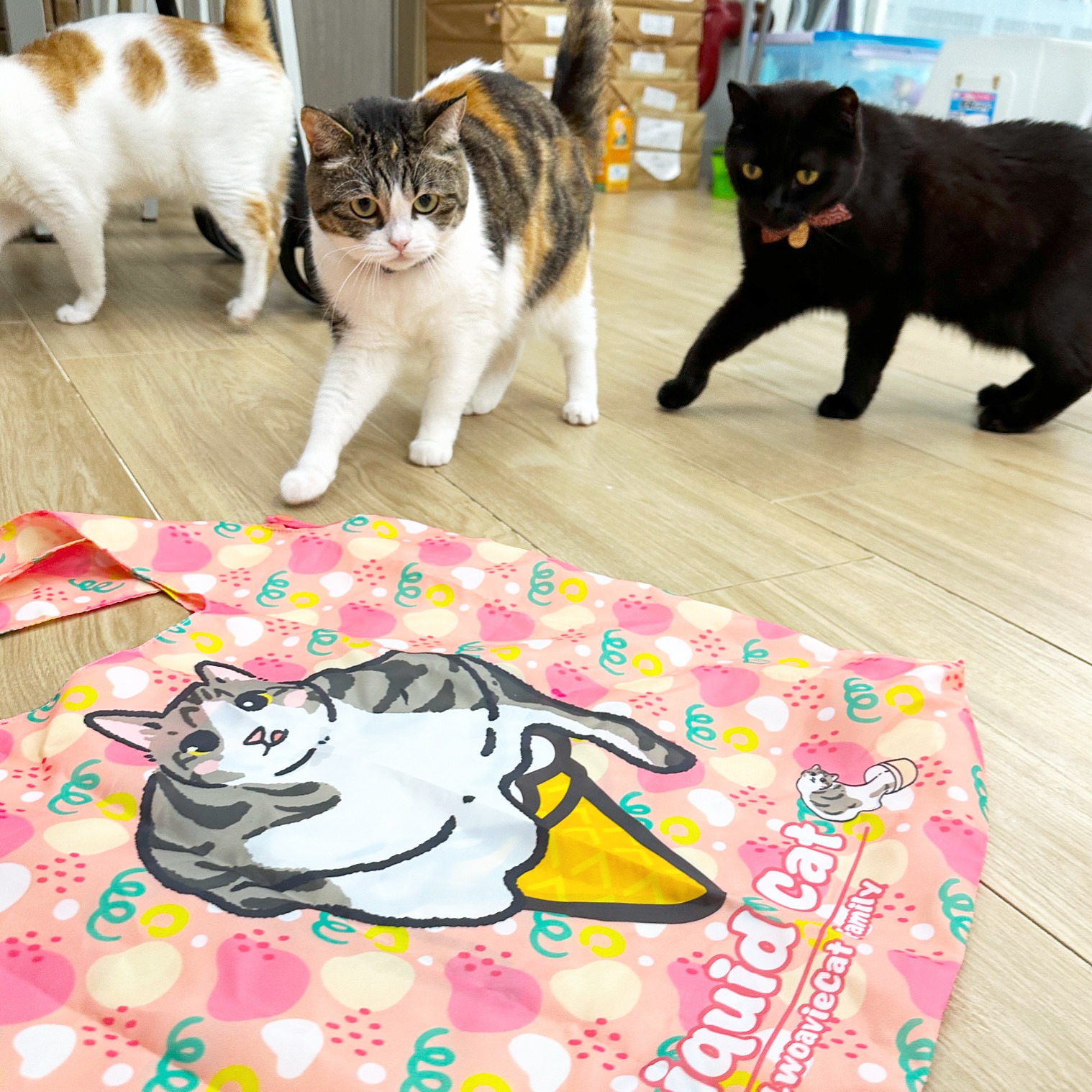 61FE9914-9D65-46FF-8AFB-0FA7731B7AA8