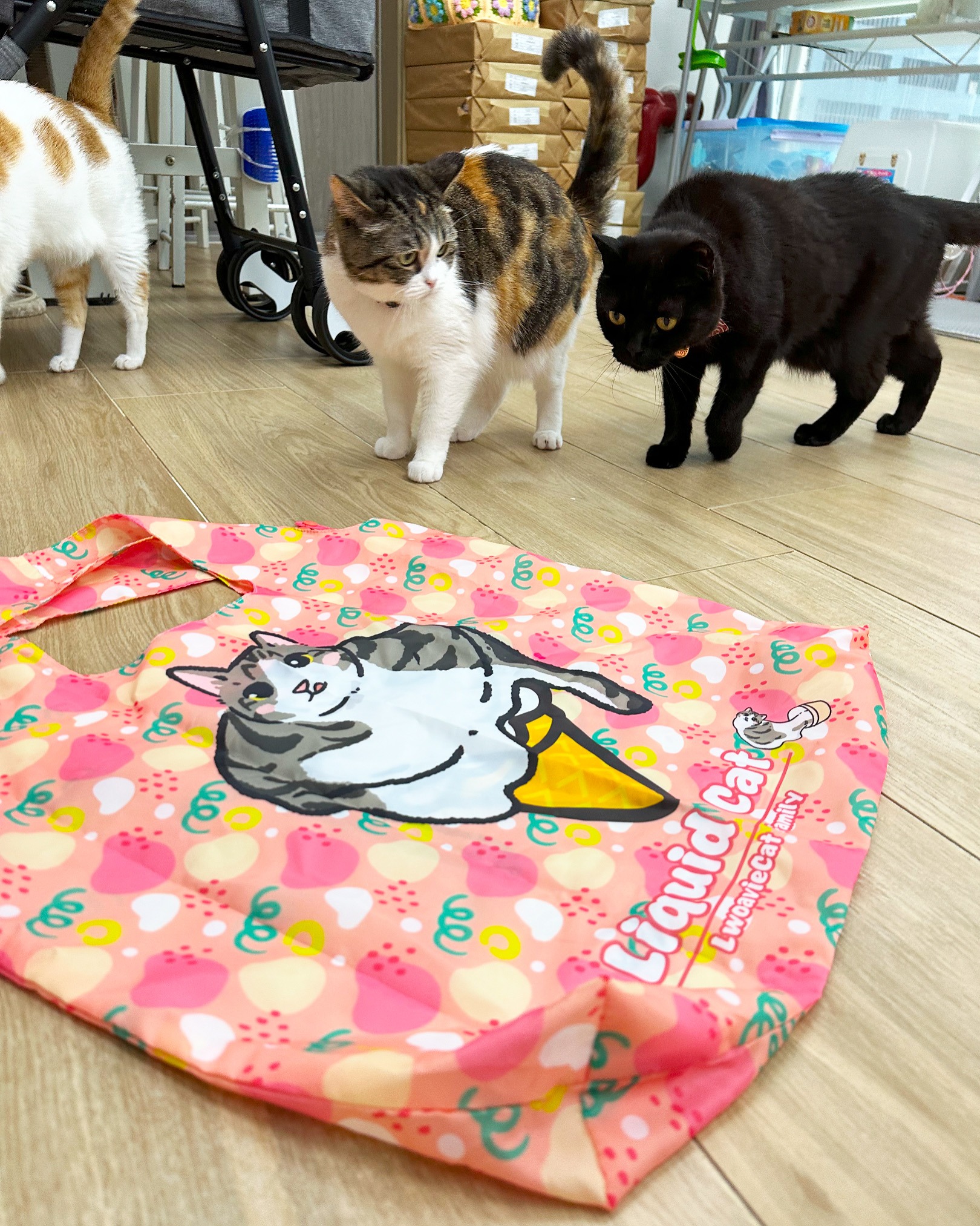 A71D13FB-D3E5-4A15-ACDA-F42DFCFF76C1