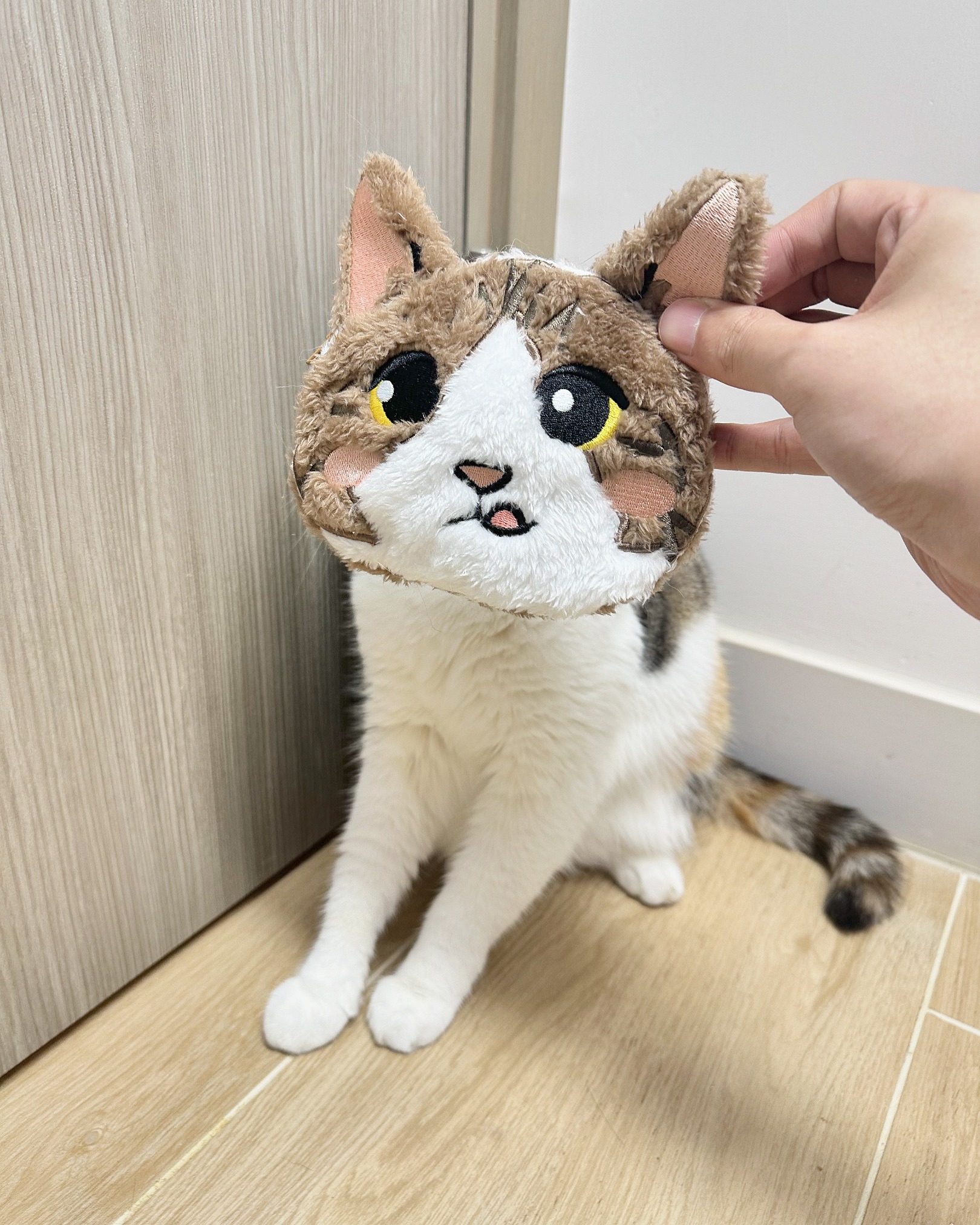 AAA8F9F4-93B2-45EB-BA03-0EE6A61CCA8D