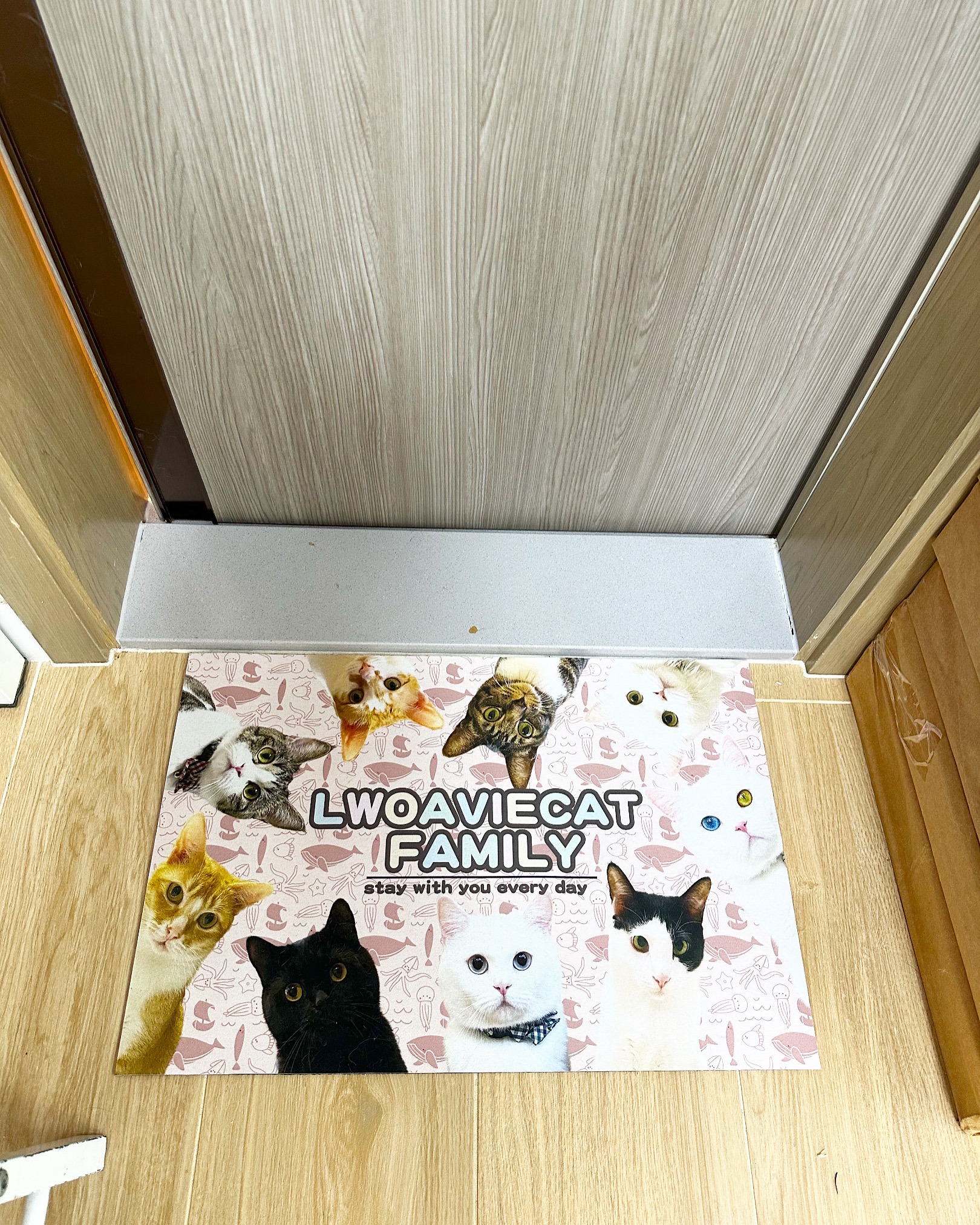 B5996C6E-B51B-4522-9E36-6B09C7A0A61F