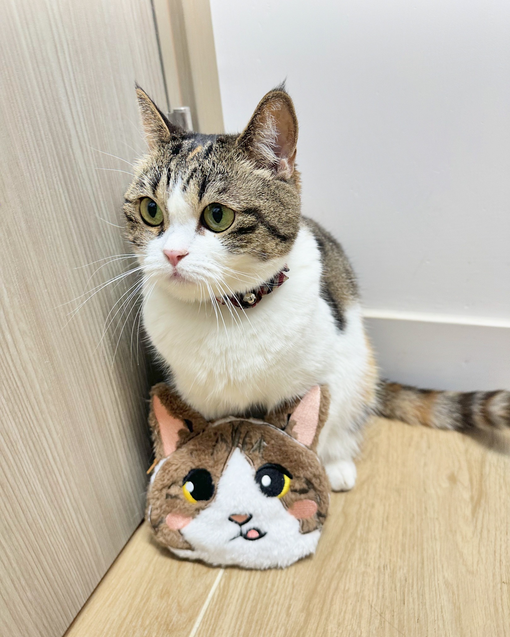 C1EFCA0B-1F00-416F-B469-E196C0C23E2C