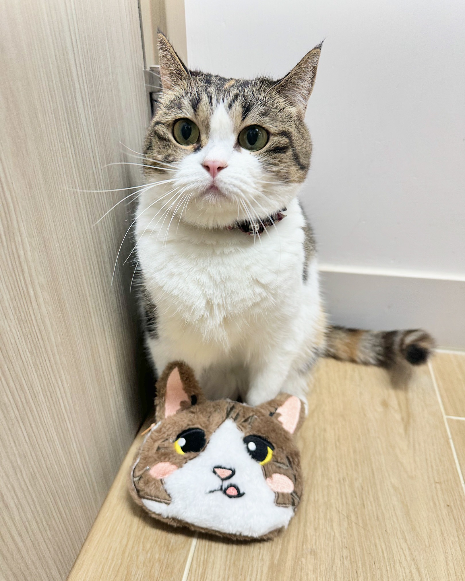 C2605E89-5235-46F4-B536-B070687C5A5B