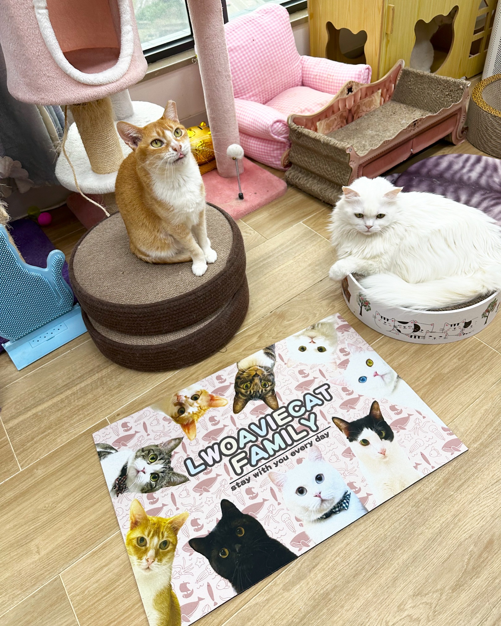 D1497384-CA5E-4834-8464-4D5C507375A3