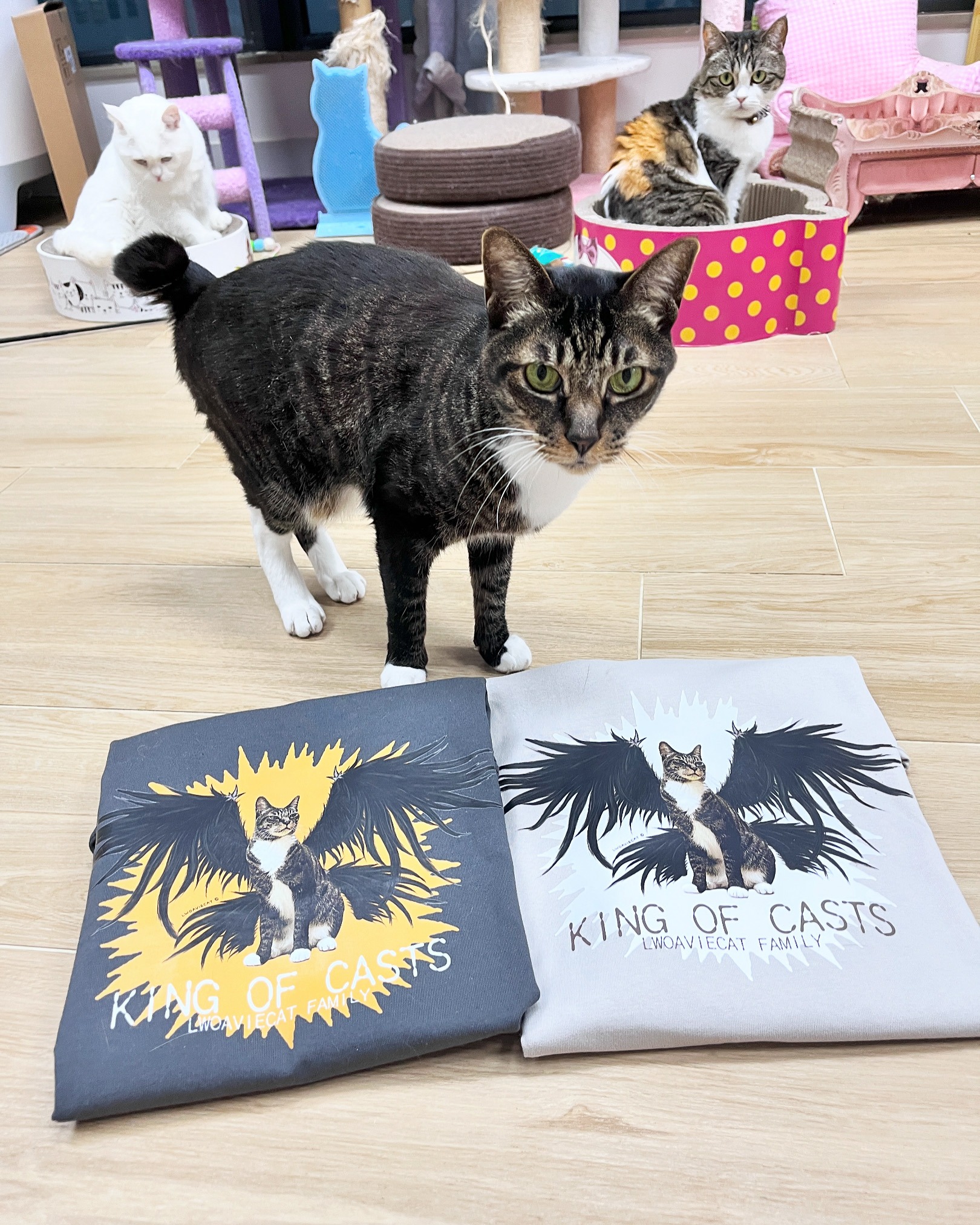 ED316E65-BB28-49AB-BA8E-C14CF310E29C