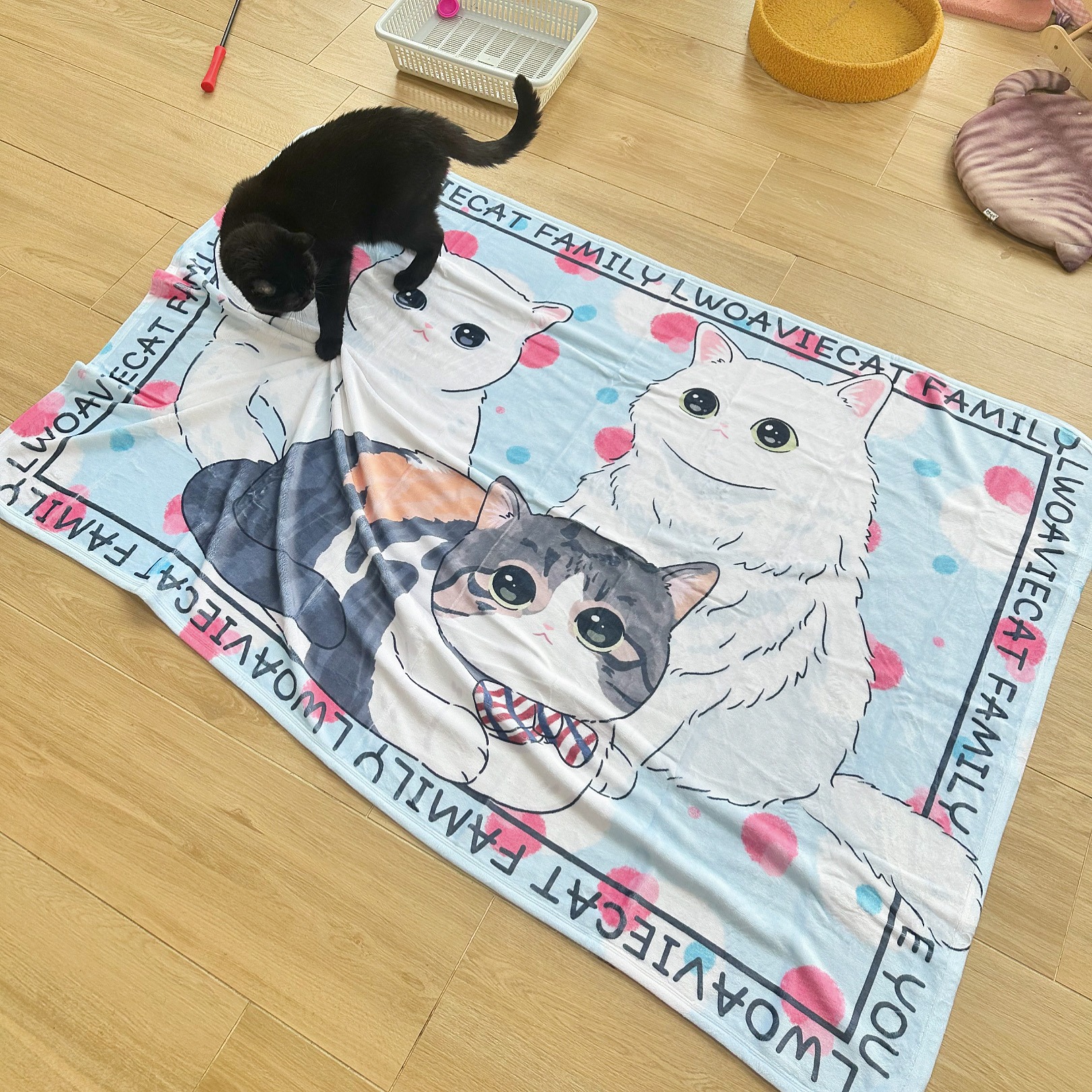 0A1CB578-1338-4059-A797-A89A56DE8C54