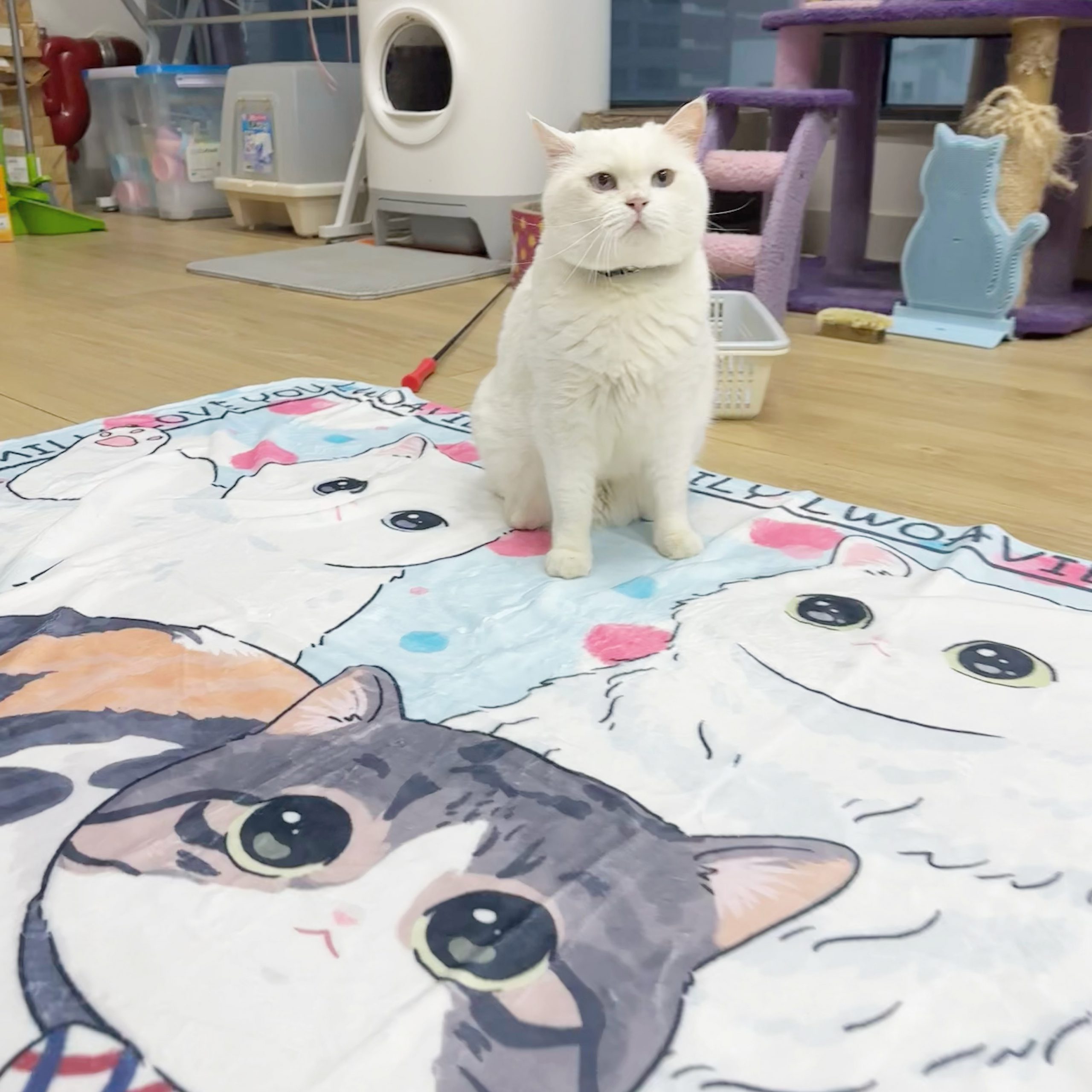 47A30B15-9E12-4D45-B90A-132AB23E20B3