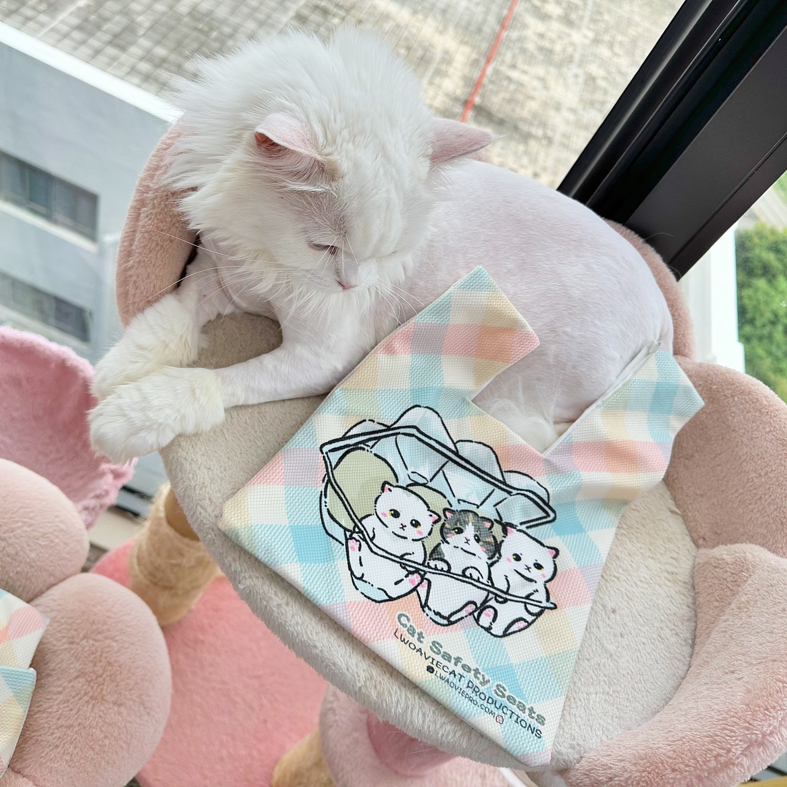 4C474419-12D9-4C55-85DD-931026B1062F