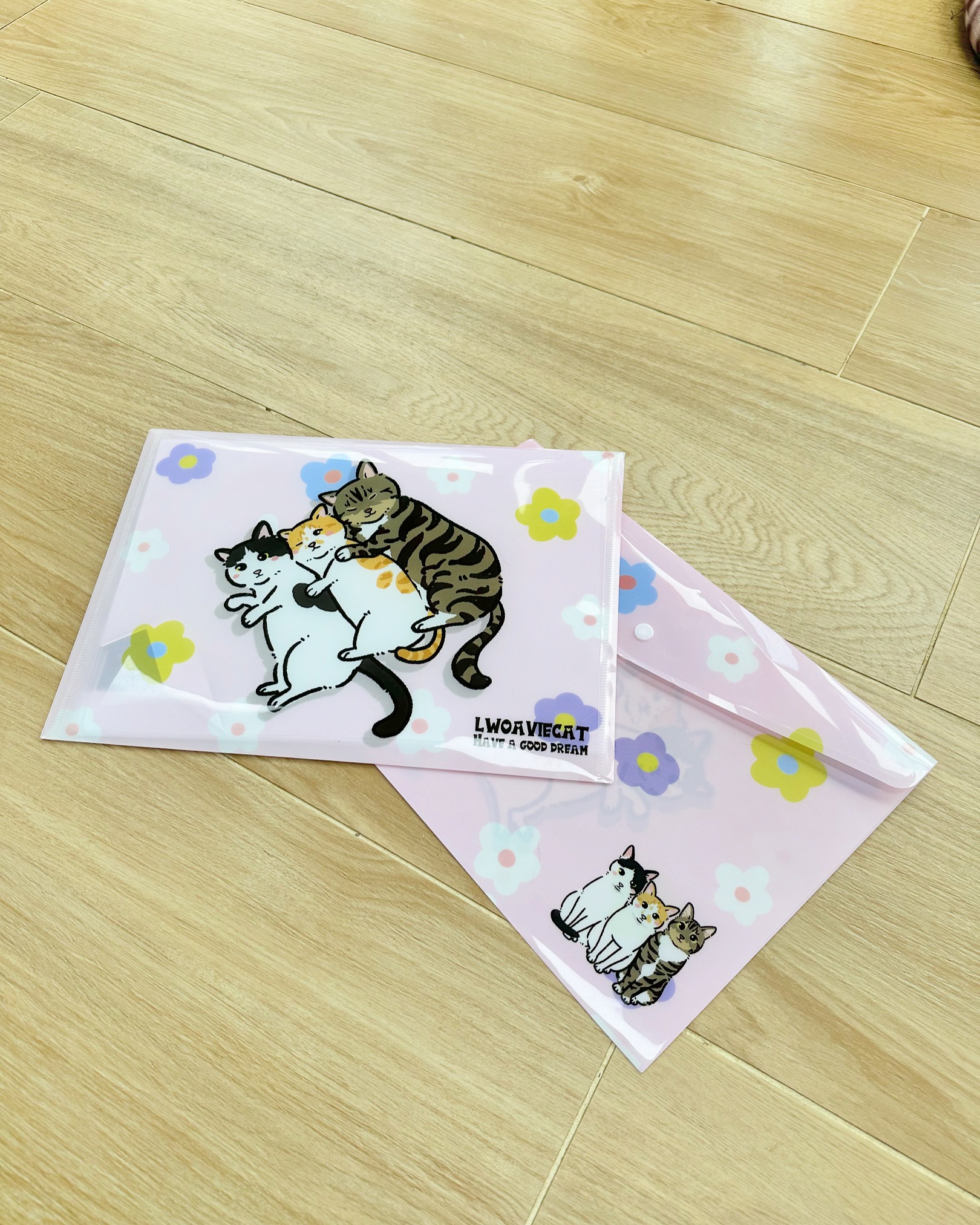 C6C0DE94-6292-41BA-A3DC-A8E7BB6CD871