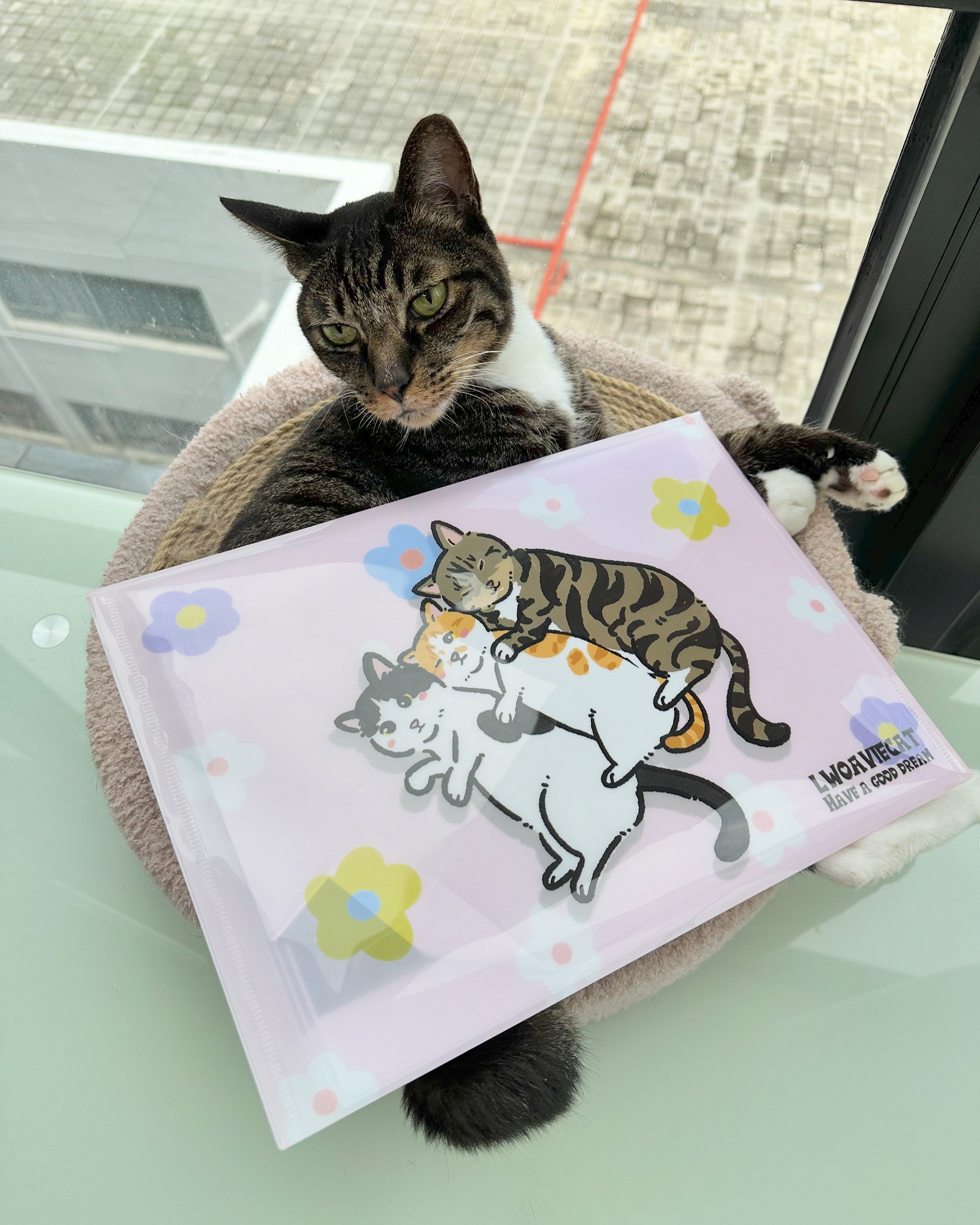 DB3636EB-2717-4778-B19E-742001E4283D