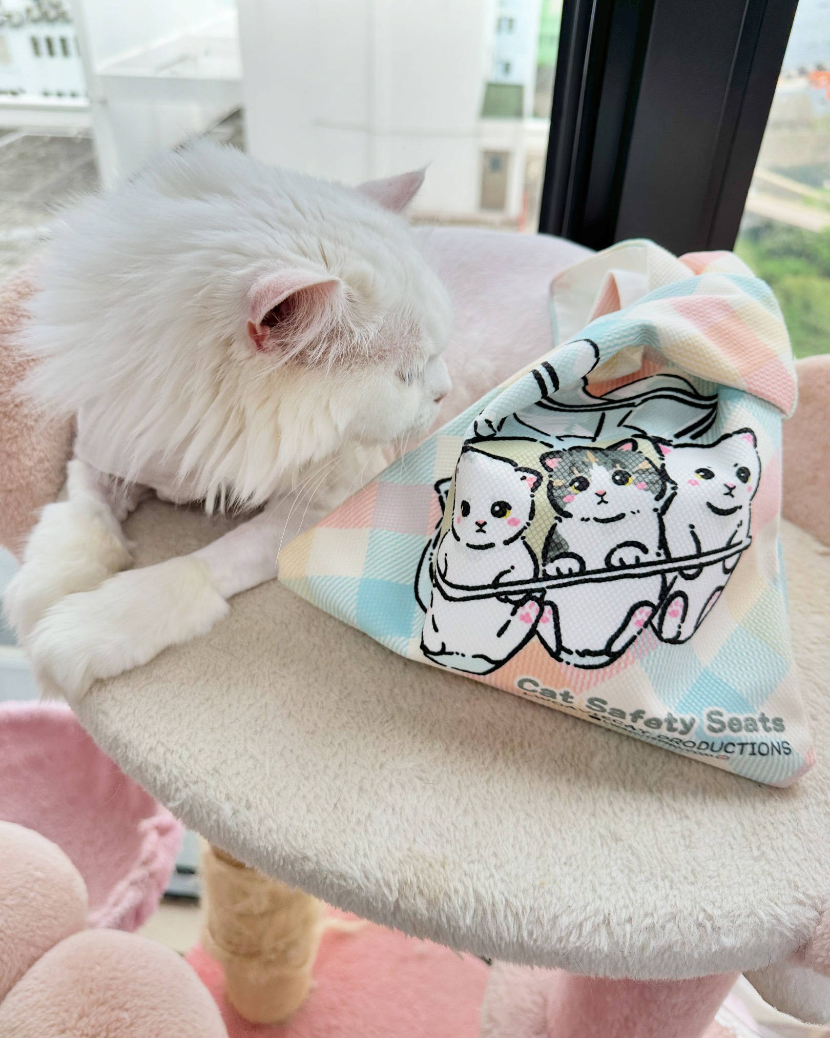 FB97E377-670C-4412-8AAE-499B6F8AA189