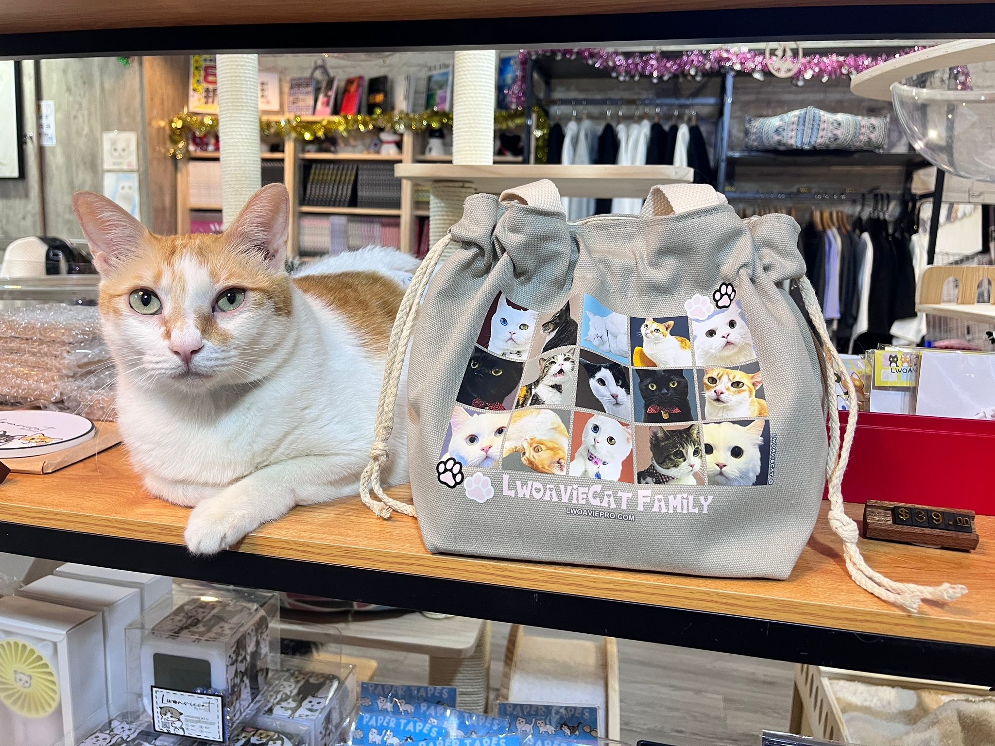 847dab7d-f8db-4c25-b24c-333434aab296